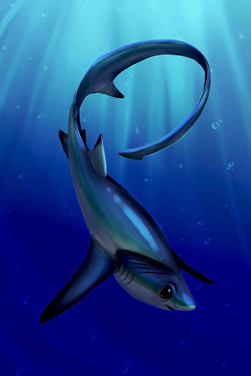  壁紙 — 一條流線型的鯊魚在深藍色海洋中滑行，陽光光束從上方穿透。