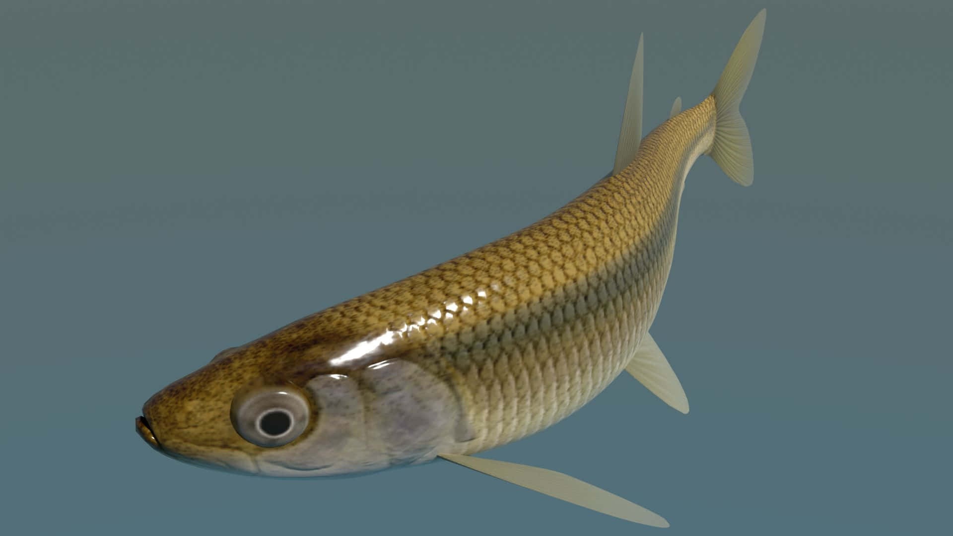  壁紙 — 一條細節豐富的3D渲染魚，擁有金色鱗片和半透明魚鰭，在柔和的藍色背景中游動。