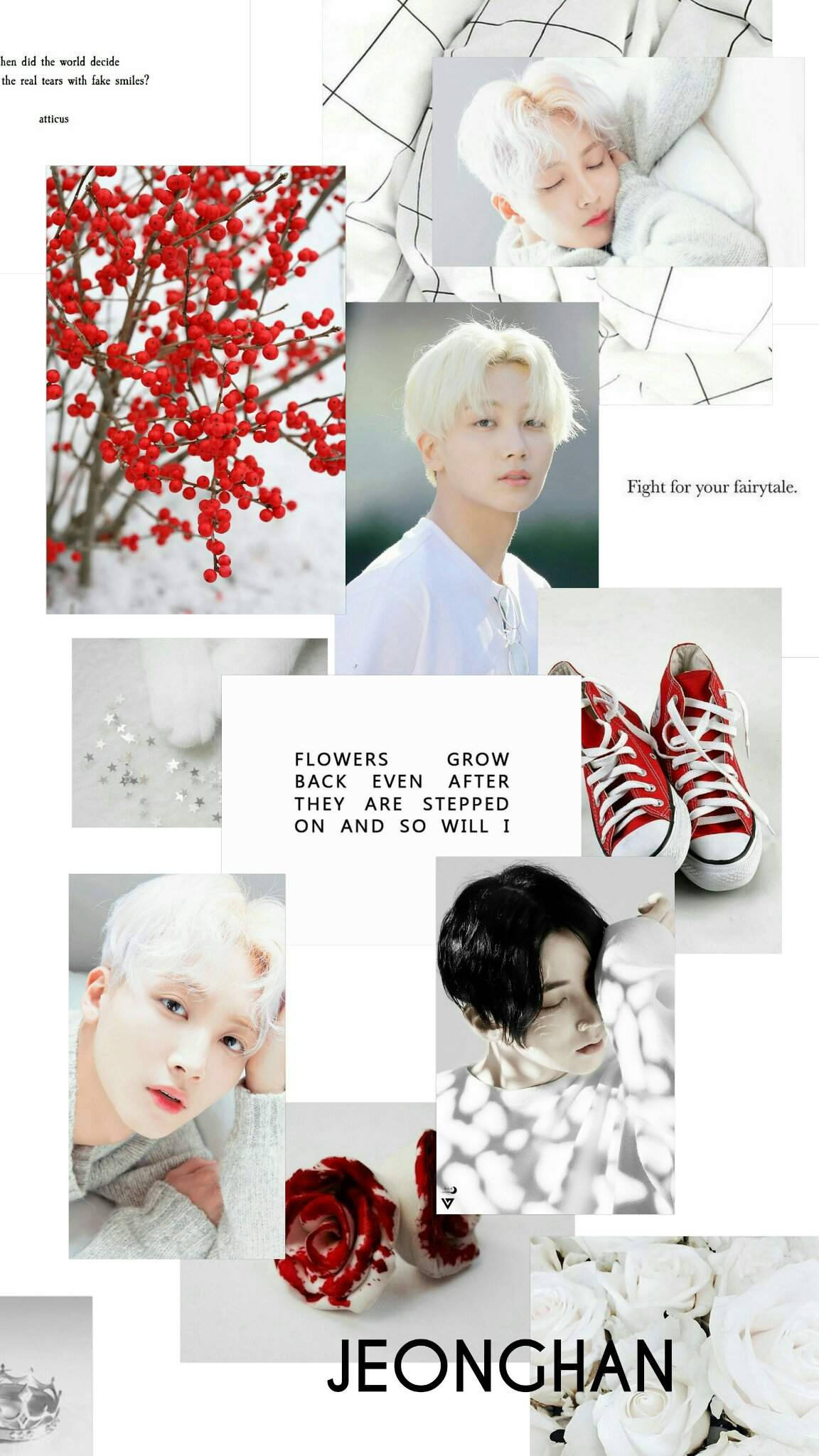 Yoon Jeonghan 白色美學 壁紙 — 一幅拼貼畫，描繪一位白髮年輕男子、紅色漿果、紅色運動鞋和白色玫瑰，背景為極簡網格。