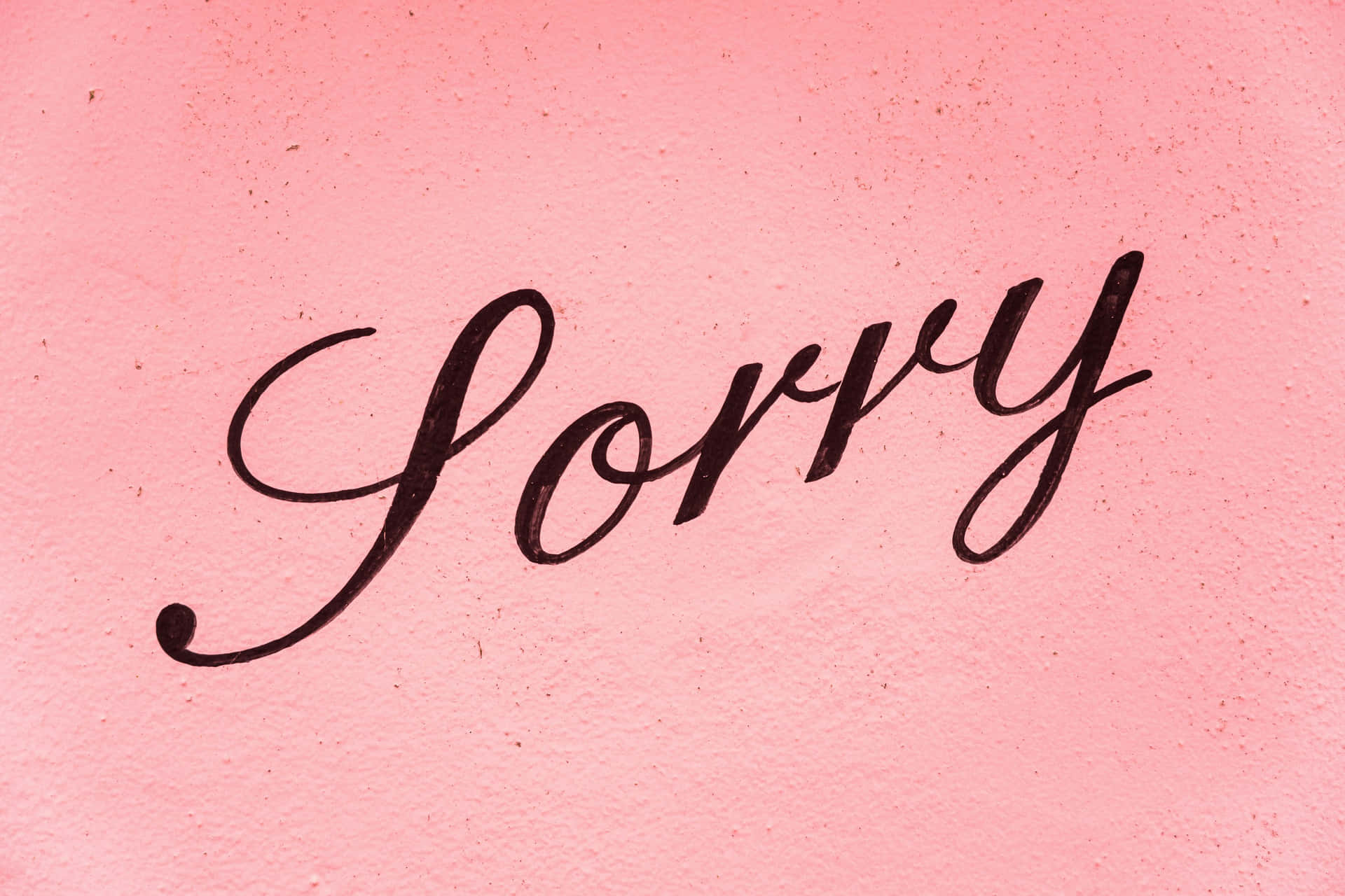  壁紙 — 優雅的黑色書法字體「Sorry」在柔軟有紋理的粉紅色背景上脫穎而出。
