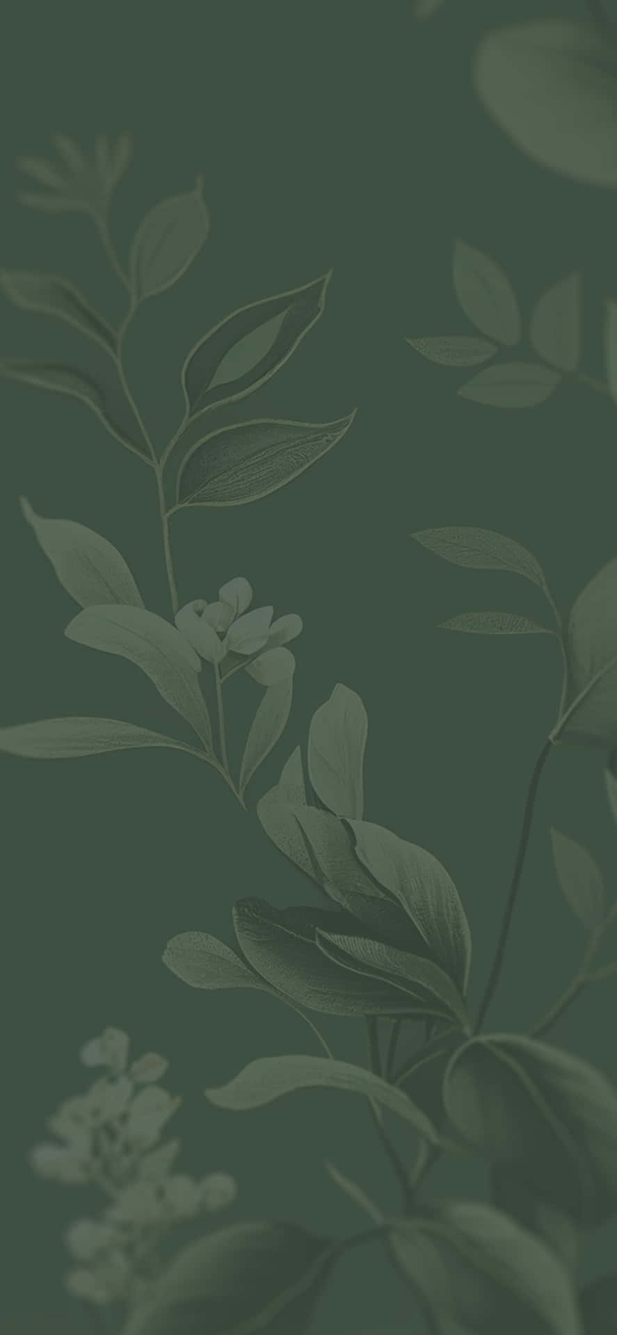  壁紙 — 優雅柔和綠色植物圖案牆紙，在柔和漸變背景上呈現精緻的葉子和花朵剪影。