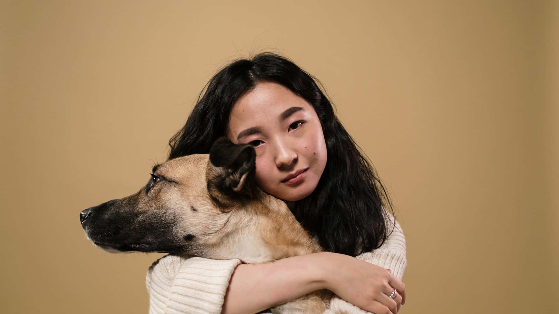 一位穿著白色毛衣的女性在工作室環境中擁抱一隻德國牧羊犬。