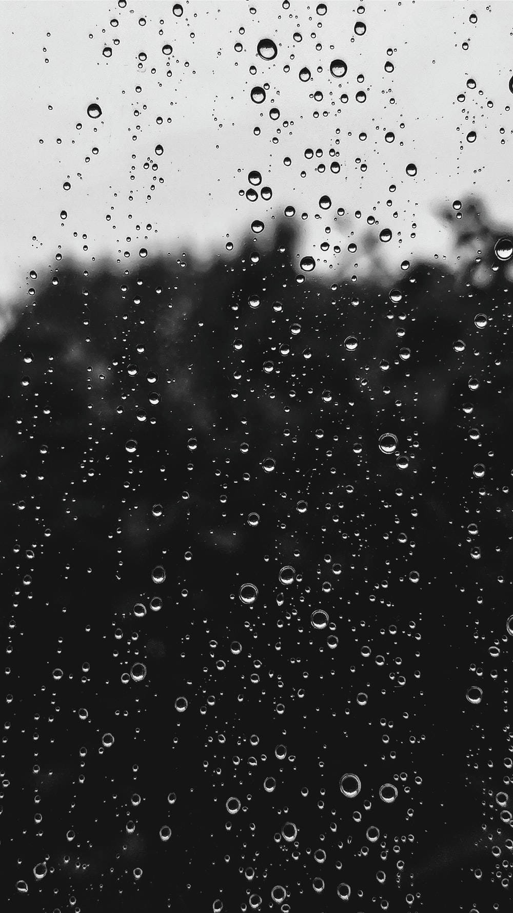 玻璃上的雨滴與模糊的樹木和灰色天空，黑白呈現。