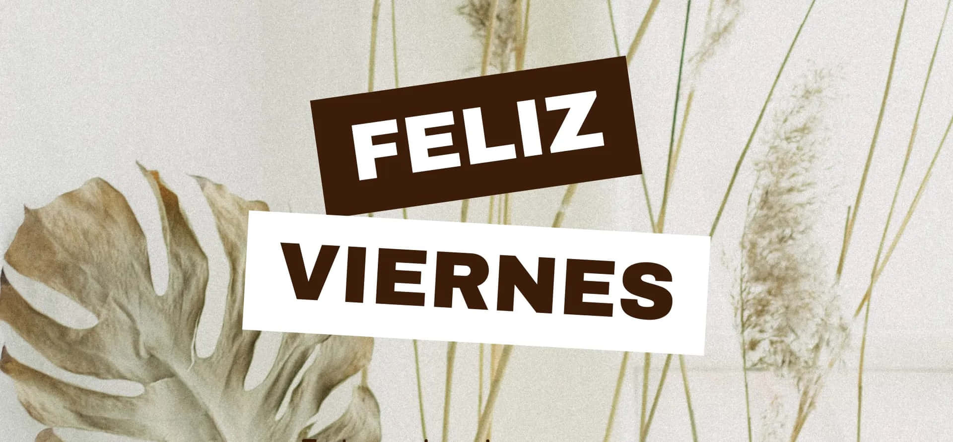  壁紙 — 在紋理米色背景上，乾燥的龜背竹葉和草上覆蓋文字 'FELIZ VIERNES'。