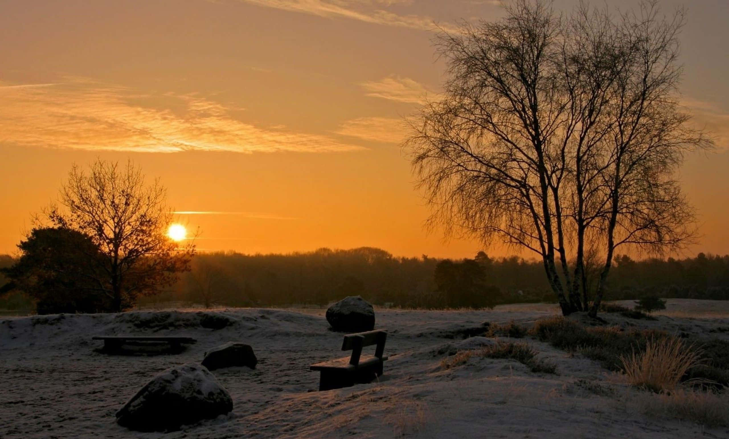 Winter Sunset 桌布 壁紙 — 一張孤獨的長椅坐落在日出時霜凍的田野上，光禿禿的樹木在溫暖的橙色天空下形成剪影。