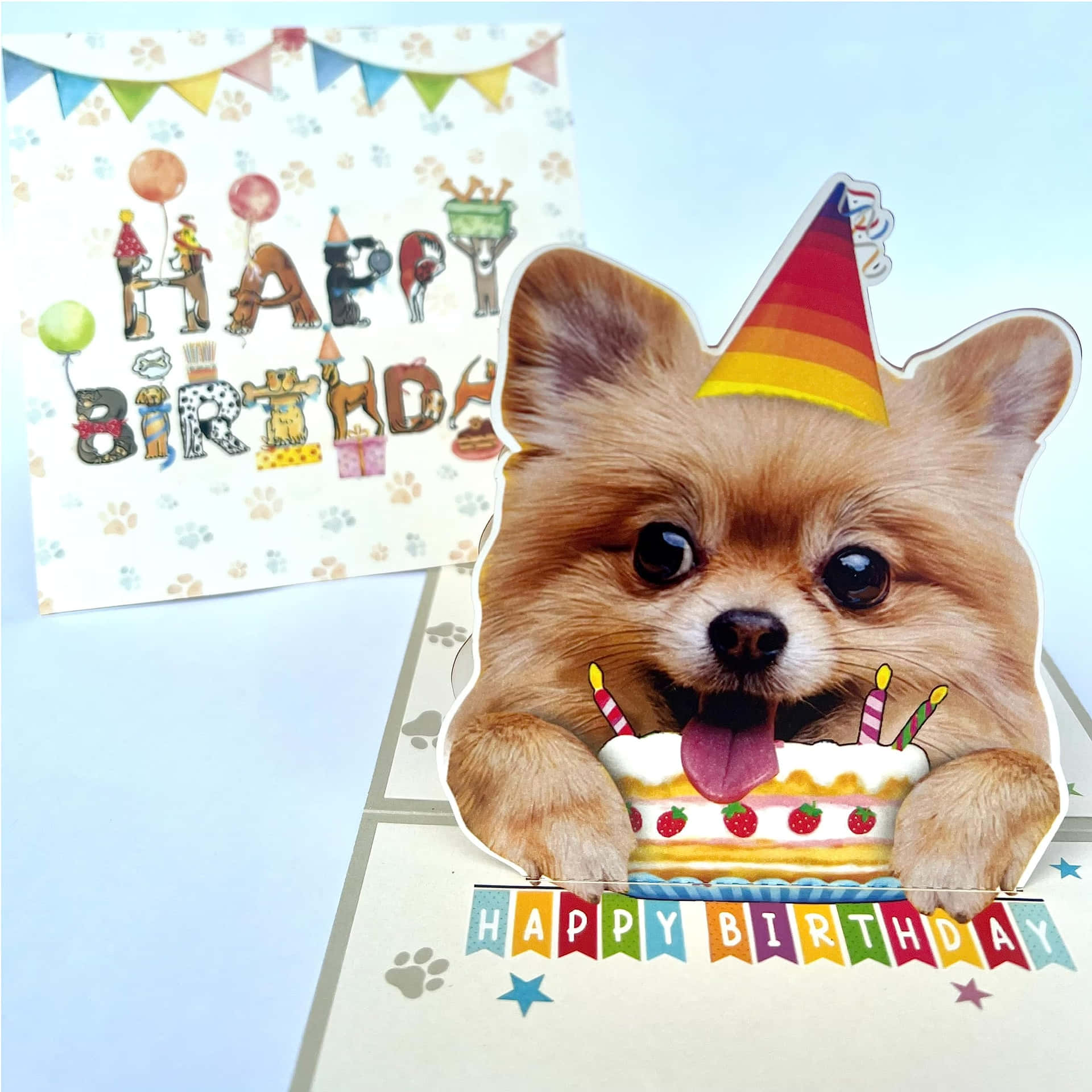  壁紙 — 一隻戴著彩虹派對帽的開朗博美犬在生日卡上急切地舔著插有蠟燭的草莓蛋糕。