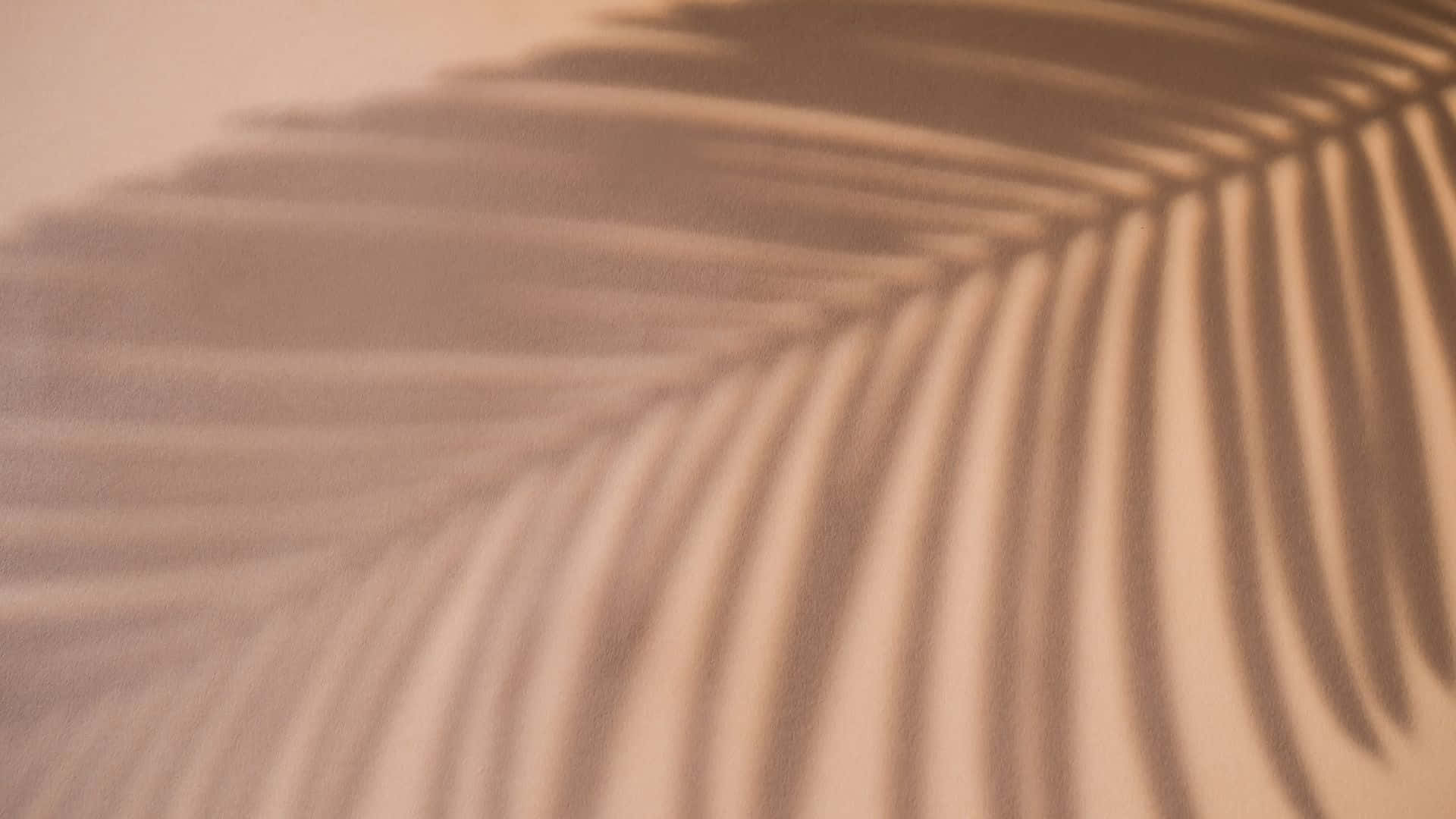  壁紙 — 棕櫚葉的柔和陰影在溫和的陽光下，在溫暖的米色牆壁上投射出精緻的平行線條。