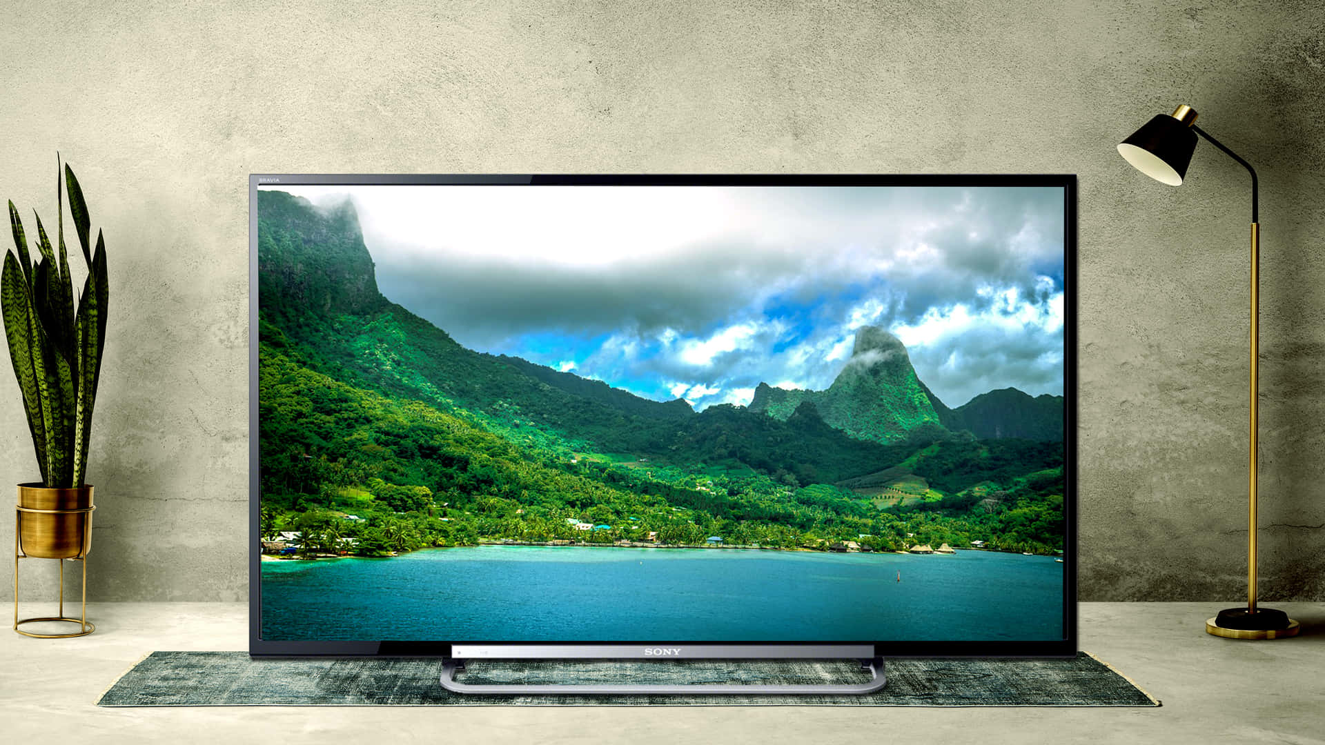 Zoom 4K 背景