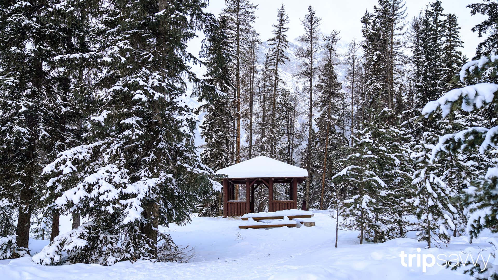 聖誕假期Zoom背景：雪景 壁紙 — 一個木製涼亭坐落在白雪皚皚的森林中，周圍是高聳的松樹，覆蓋著白雪。