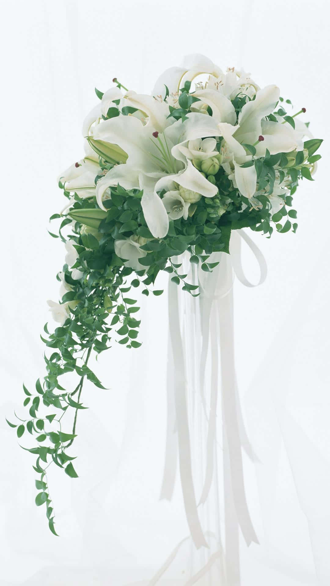 White Flowers 桌布 壁紙 — 一串白色百合和綠葉組成的瀑布式新娘花束，以飄逸的白色絲帶綁紮，襯以柔和的白色背景。