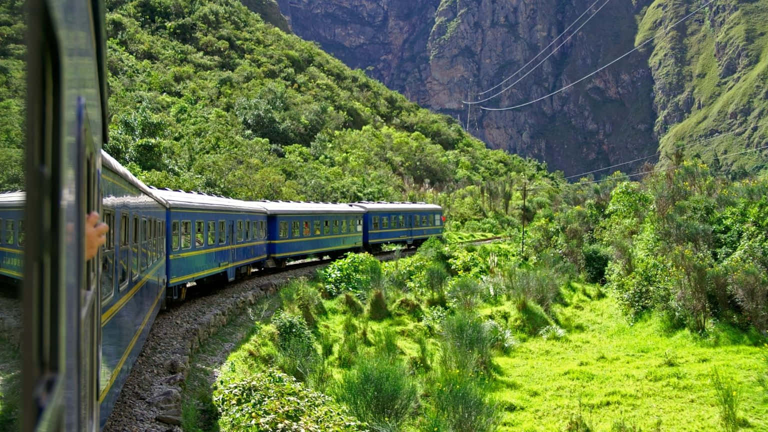 藍色火車行駛在充滿活力的綠色山峽中。