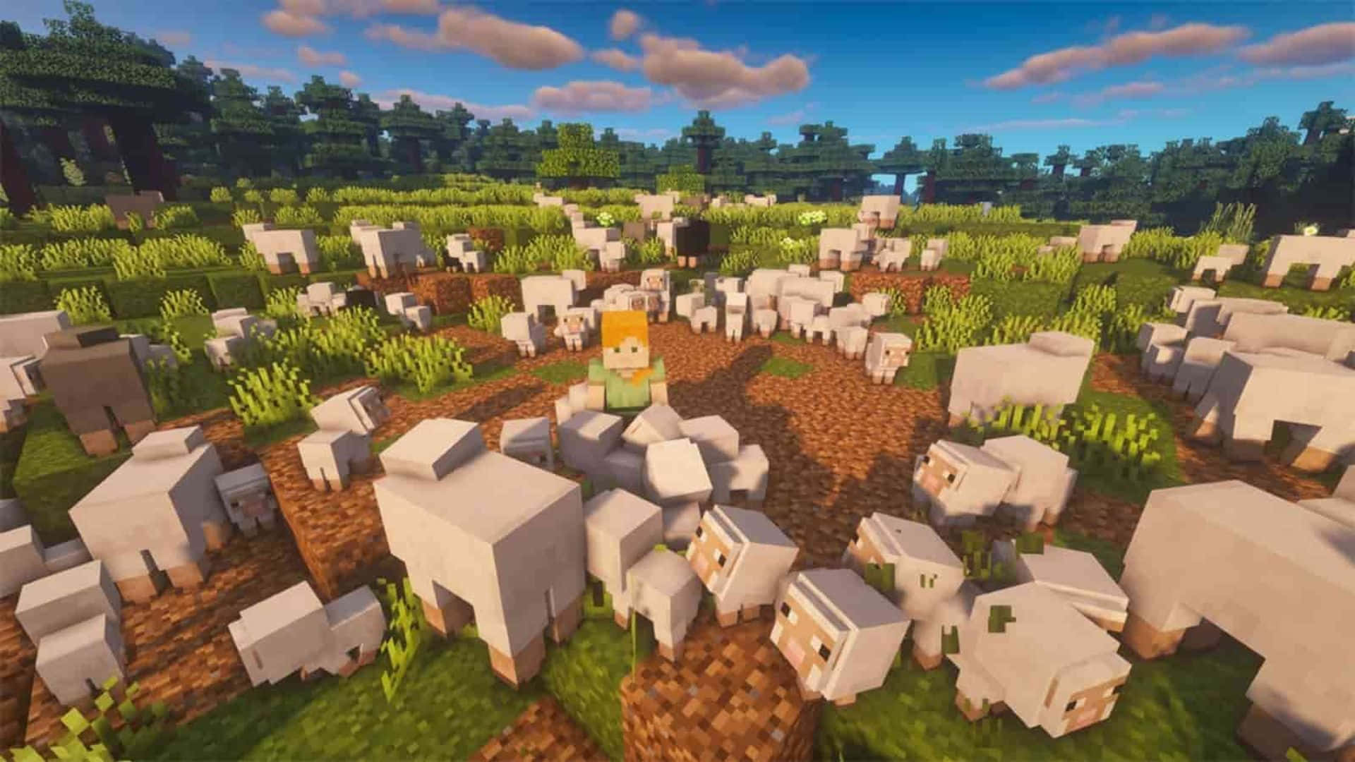 Minecraft Sheep 桌布 壁紙 — 一位Minecraft玩家喺有 fluffy 雲嘅藍天下，企喺草地上面俾一群羊包圍住。