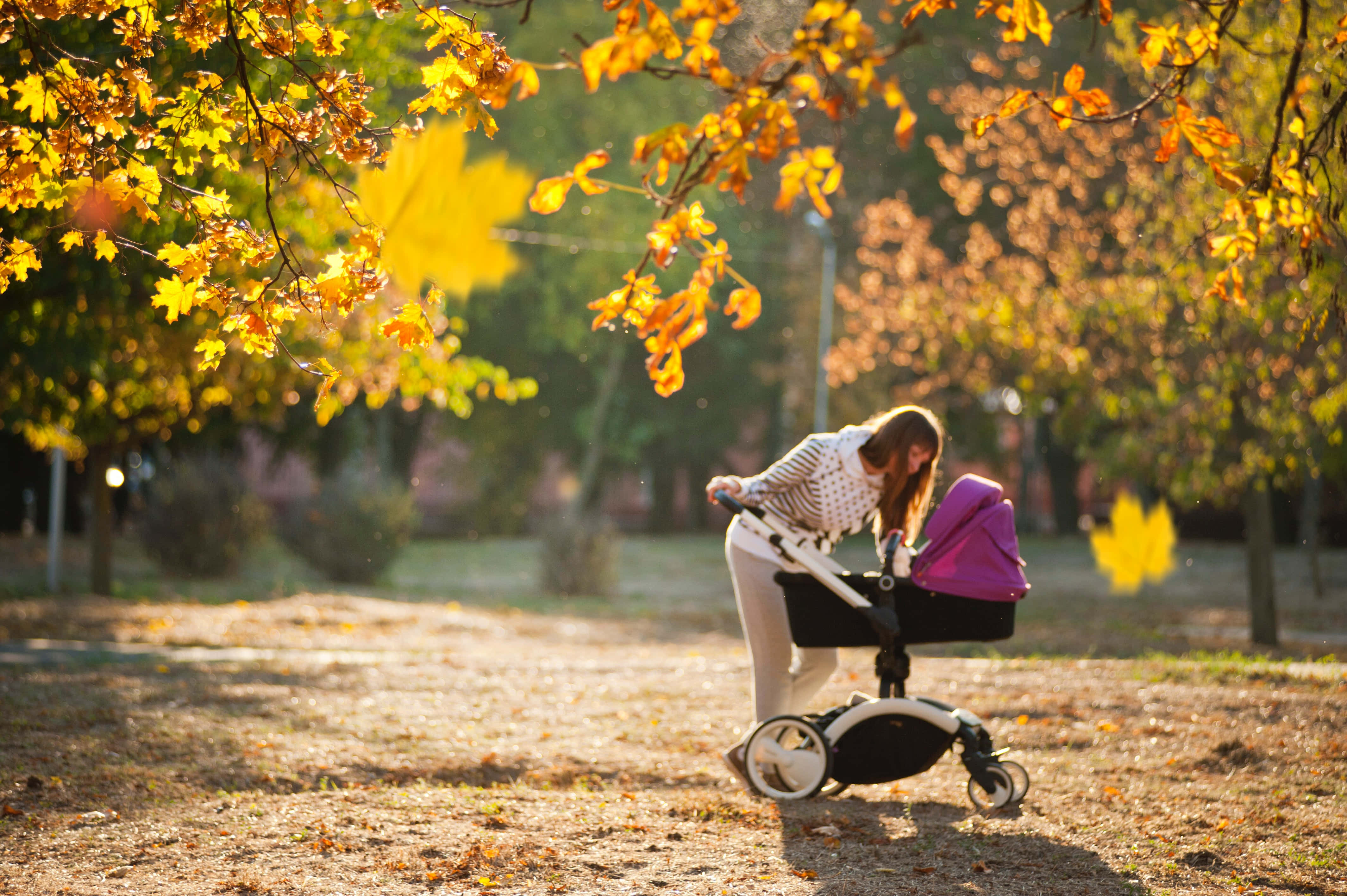 Mom 桌布 壁紙 — 一位女士在陽光普照的公園裏，在金黃色的秋葉下，推着嬰兒車，帶着溫暖的背光。