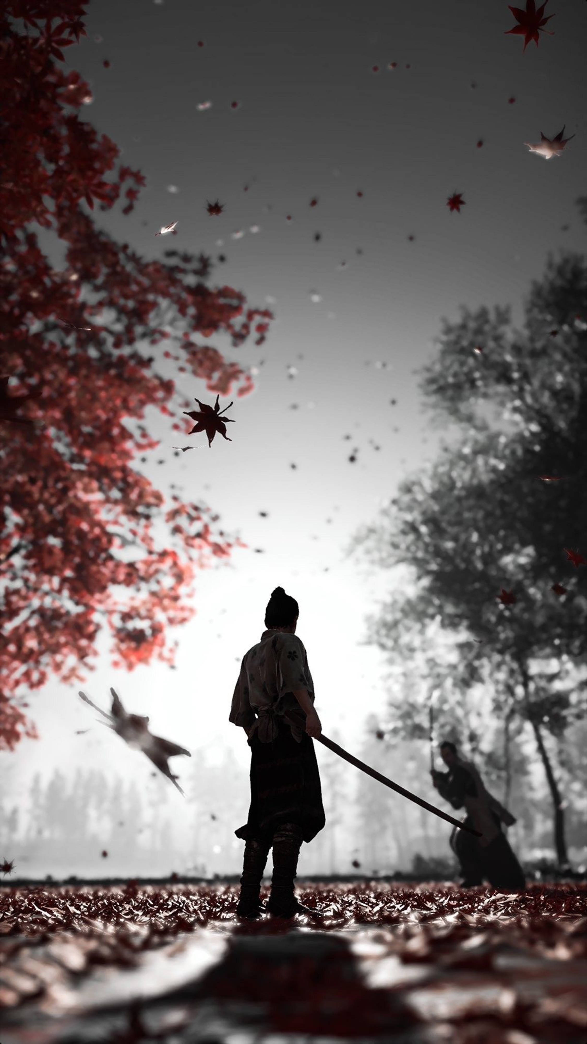 武士 桌布 壁紙 — 一位孤獨的武士站在單色森林中，深紅的楓葉在他周圍旋轉，天空蒼白。