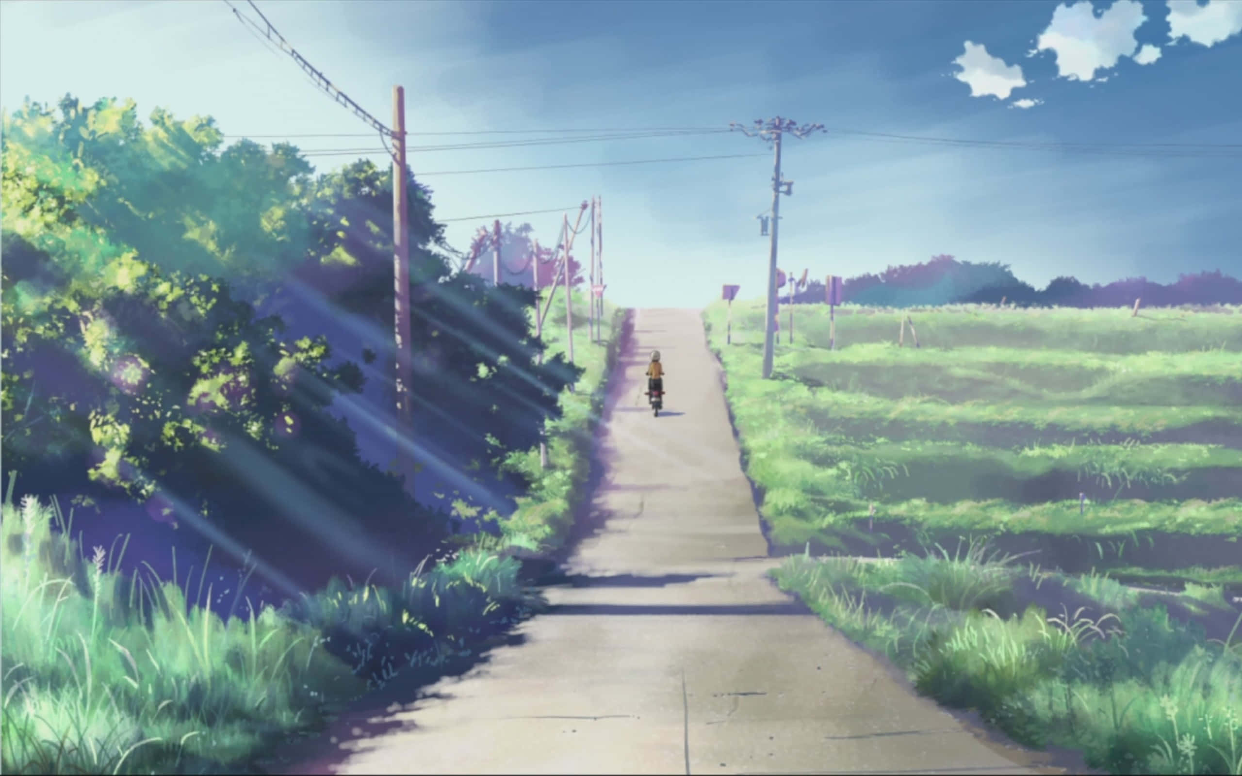 Makoto Shinkai 桌布 壁紙 — 一位孤獨的騎單車者在陽光明媚的鄉村道路上踩著踏板，道路兩旁是茂密的綠色田野和樹木，上方是帶有柔和雲朵的明亮藍天。
