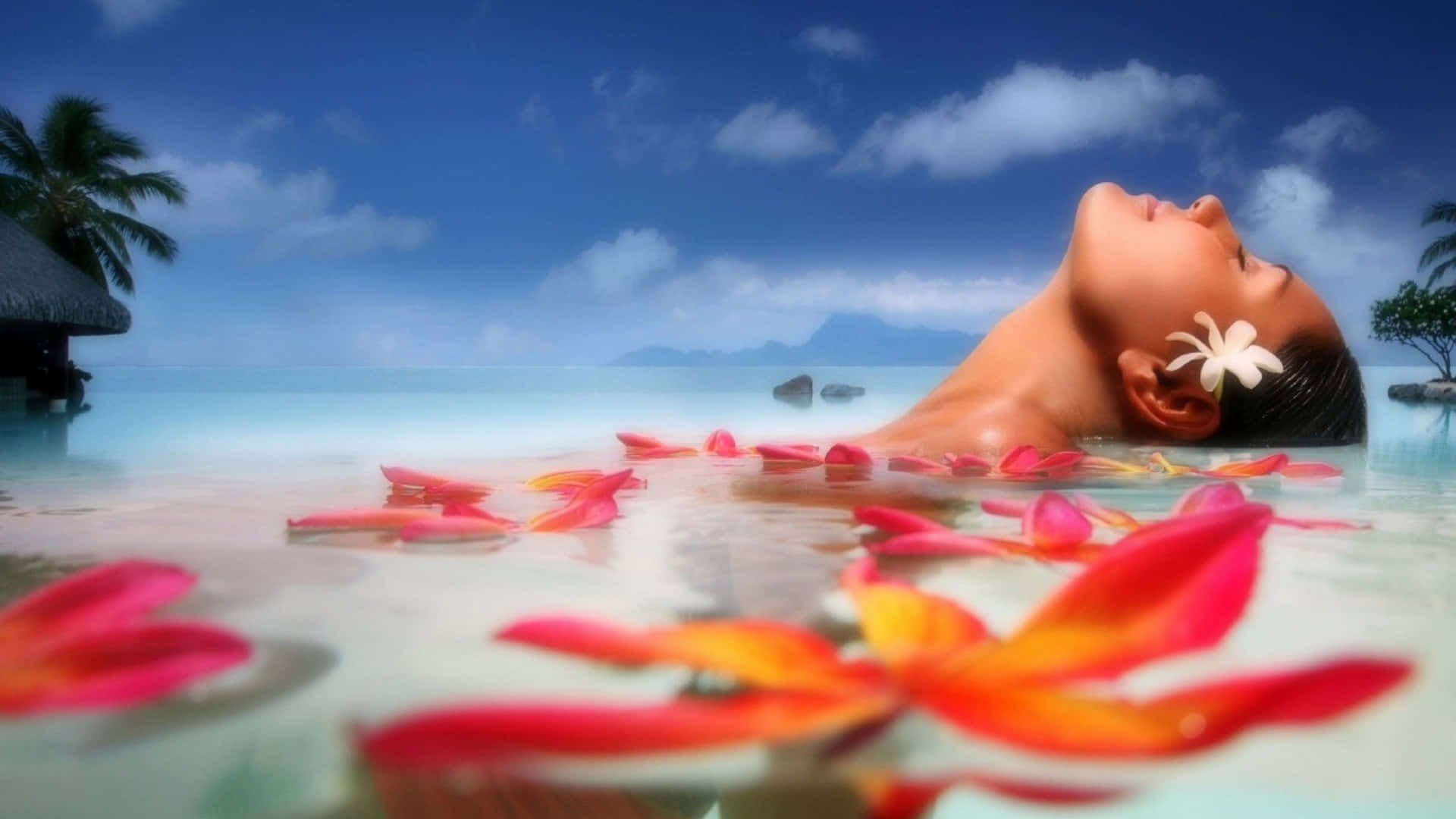 Blissful 桌布 壁紙 — 一位寧靜的女性漂浮在碧綠色的熱帶水域中，周圍環繞著鮮豔的粉紅色和橙色花瓣，頭頂是明亮的藍天。