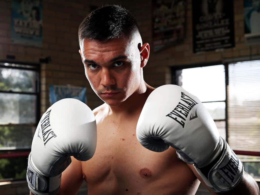 Tim Tszyu 桌布 壁紙 — 一位專注的拳擊手戴著白色Everlast手套，在磚牆健身房中凝視著鏡頭。
