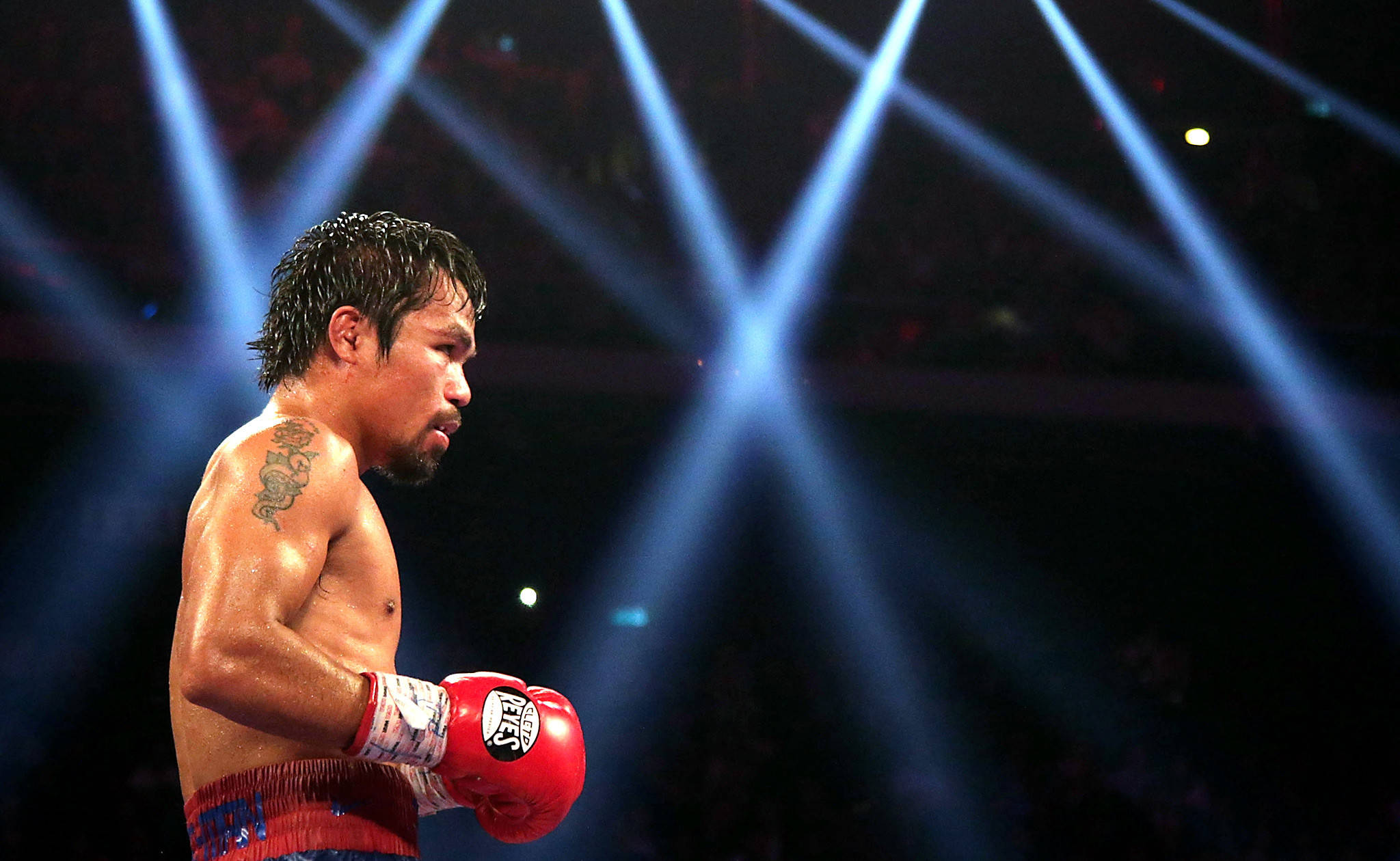Bright Lights On Manny Pacquiao 壁紙 — 一位專注的拳擊手戴著紅色手套，站在明亮的藍色競技場燈光下，汗水在皮膚上閃閃發光。