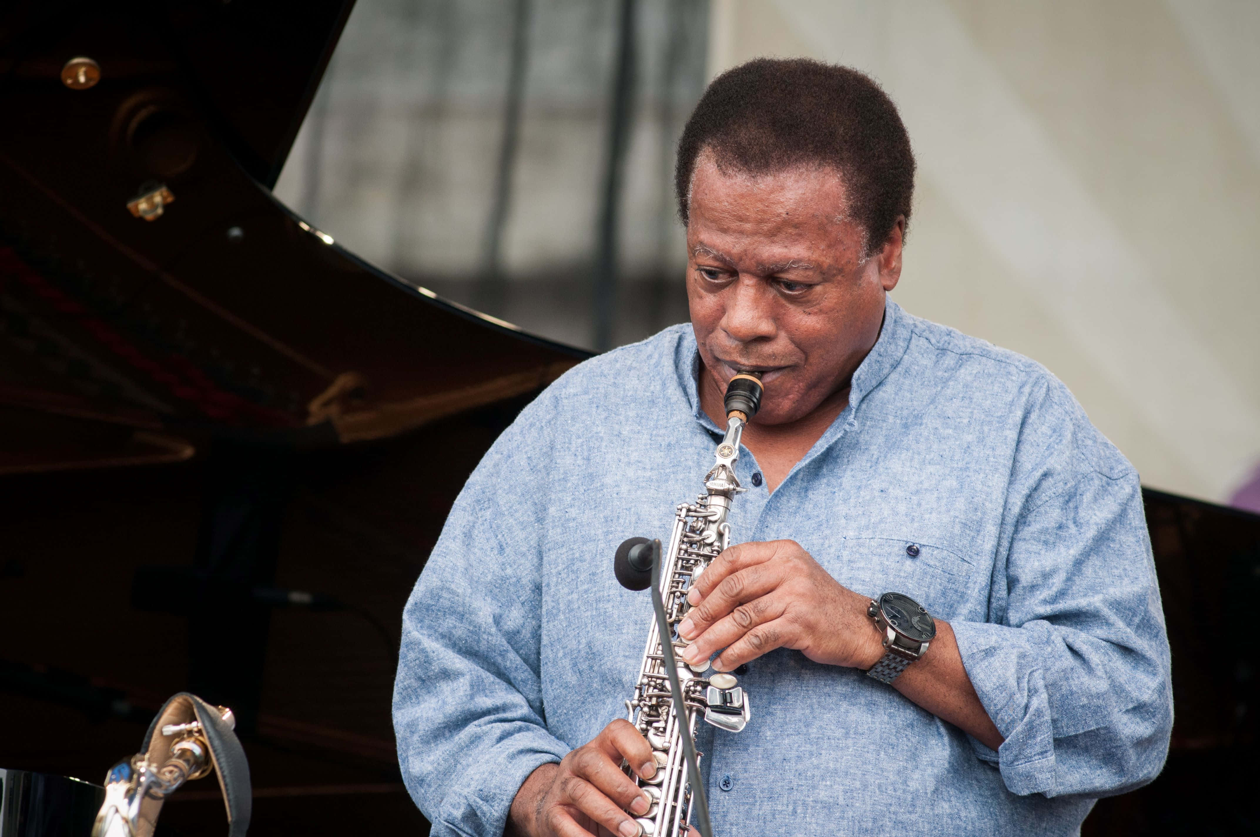Wayne Shorter 桌布 壁紙 — 一位專注的爵士薩克斯風手穿著藍色襯衫，在明亮的日光下於三角鋼琴旁演奏樂器。