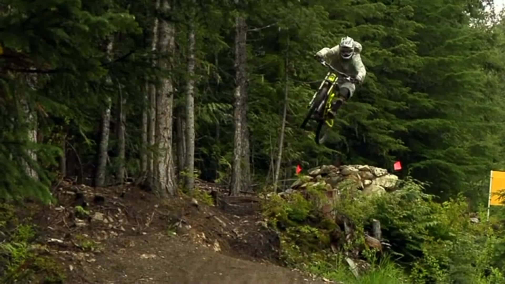 Mtb 桌布 壁紙 — 一位山地單車手在森林小徑上空飛翔，周圍是高聳的常綠樹木和長滿苔蘚的岩石。