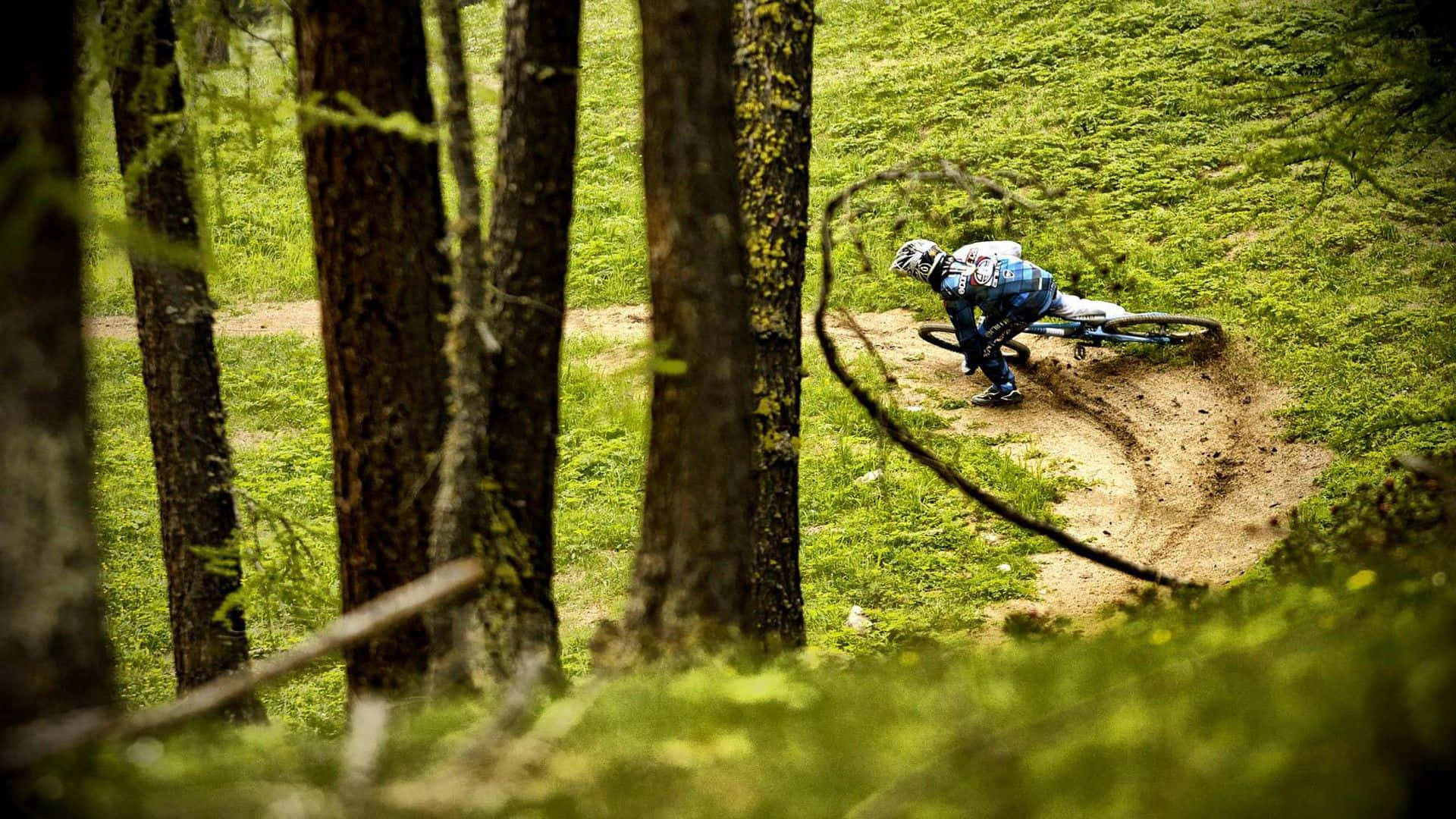 Mtb 桌布 壁紙 — 一位山地自行車手在陽光普照、樹木長滿苔蘚的森林中的泥徑上急轉彎。
