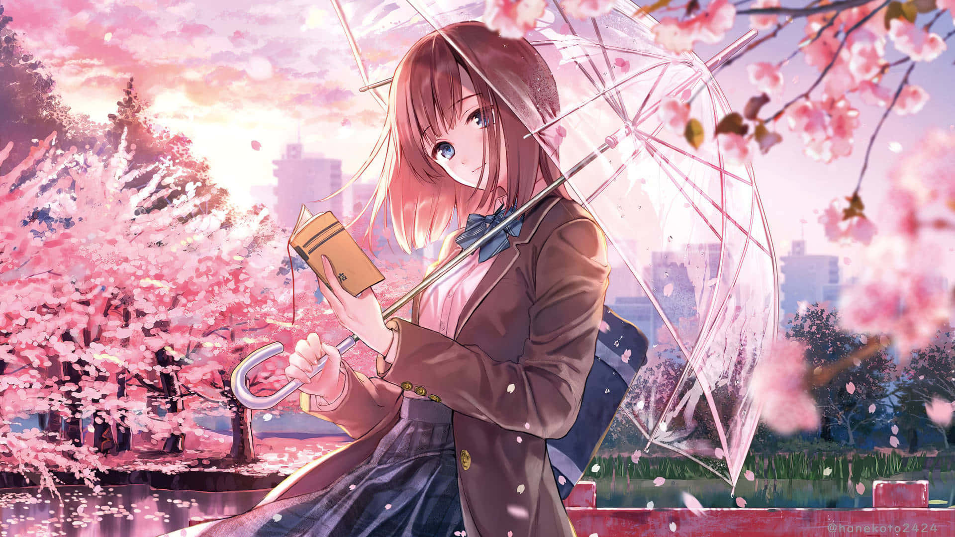 動漫女孩在夕陽下拿著透明雨傘在櫻花下看書。