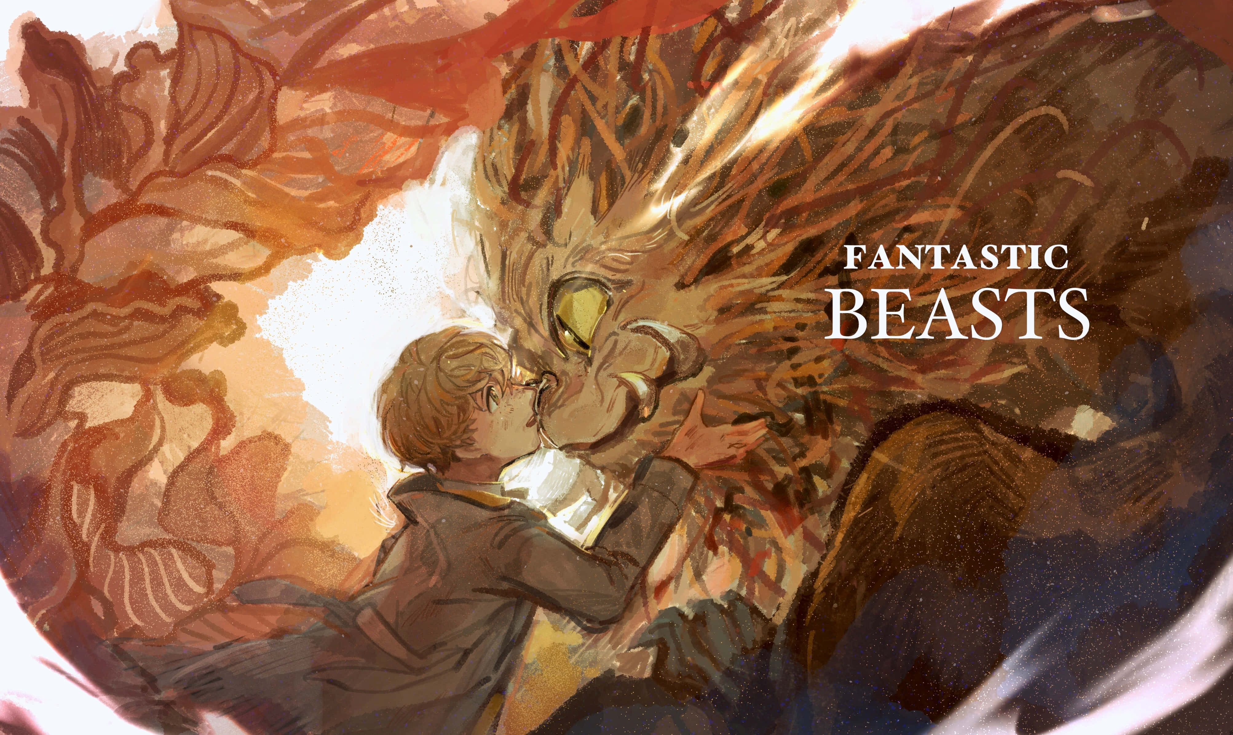 Fantastic Beasts 桌布 壁紙 — 一位年輕巫師在旋轉的火焰羽毛和溫暖發光的光芒中，溫柔地親吻一隻雄偉的金色鳳凰。