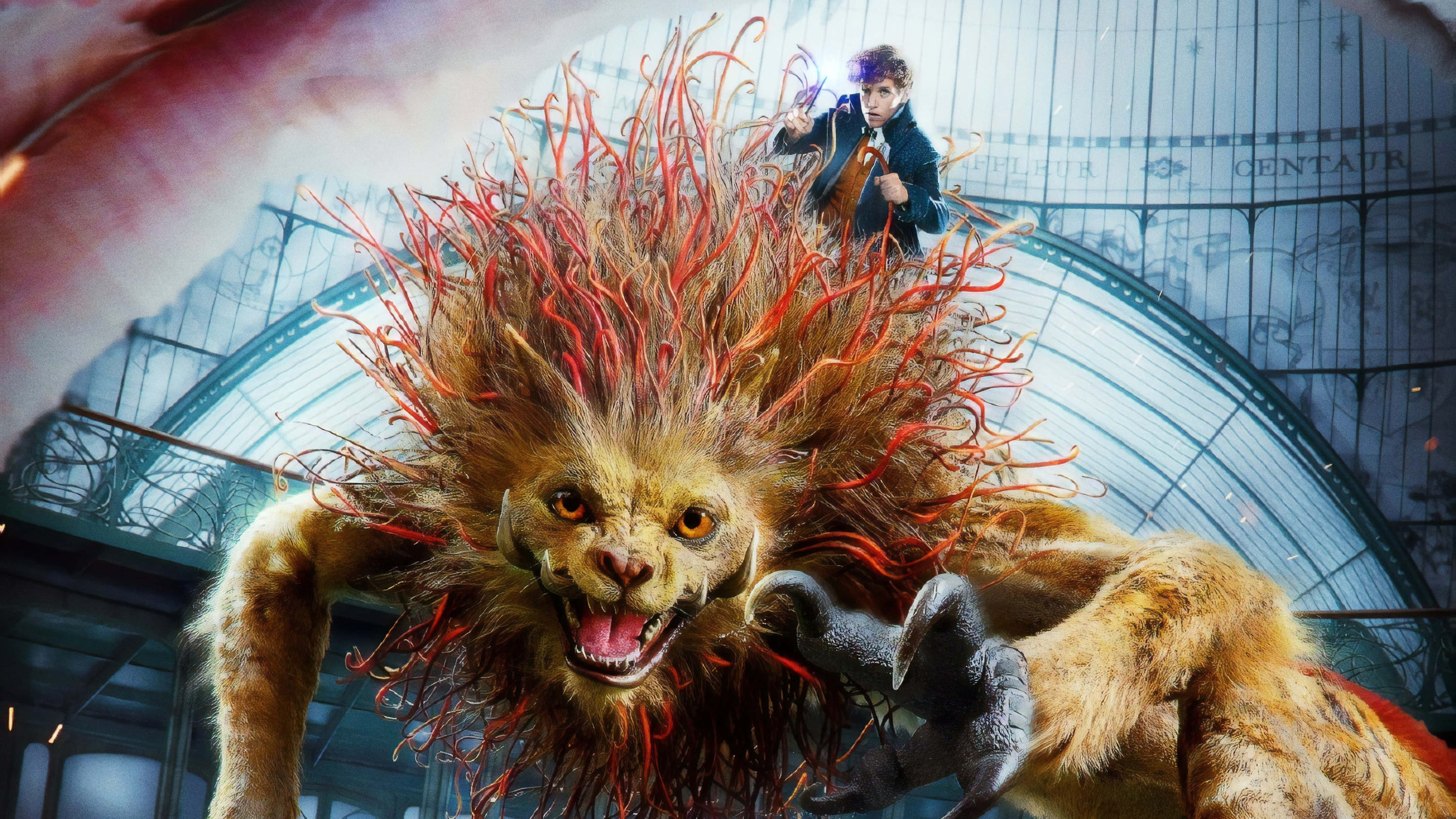 Fantastic Beasts 桌布 壁紙 — 一位年輕巫師騎在一頭巨大的、咆哮的獅子般生物上，牠有著火紅色的鬃毛，位於一個宏偉的玻璃穹頂車站內。