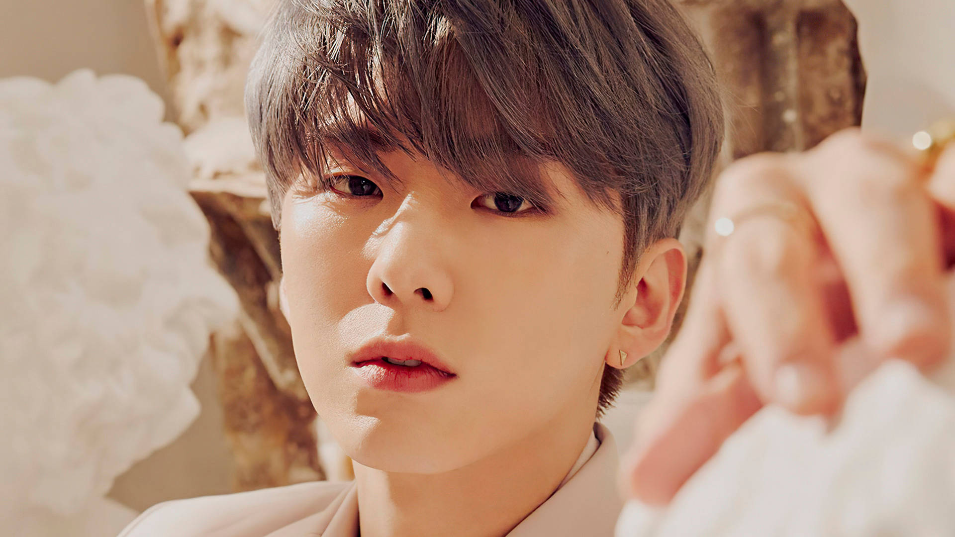 Monsta X Kihyun Fantasia X 壁紙 — 一位年輕男子，擁有柔軟的棕色頭髮和溫暖的燈光，若有所思地凝視著，同時手持一朵白花。