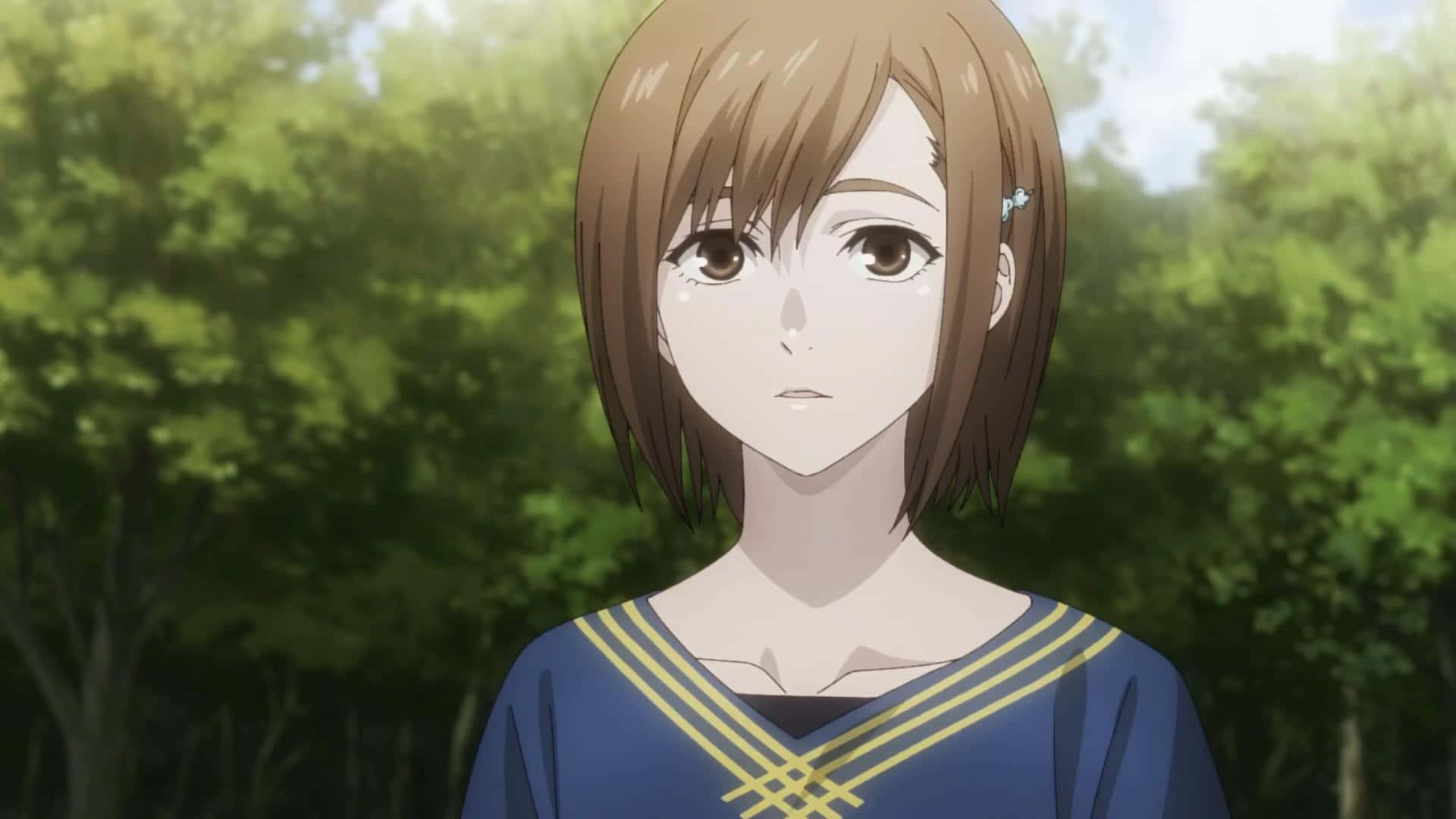 Hinami Fueguchi 桌布 壁紙 — 一位年輕的動漫女孩，留著棕色鮑伯頭，穿著藍色水手服，站在陽光明媚的綠色森林中。