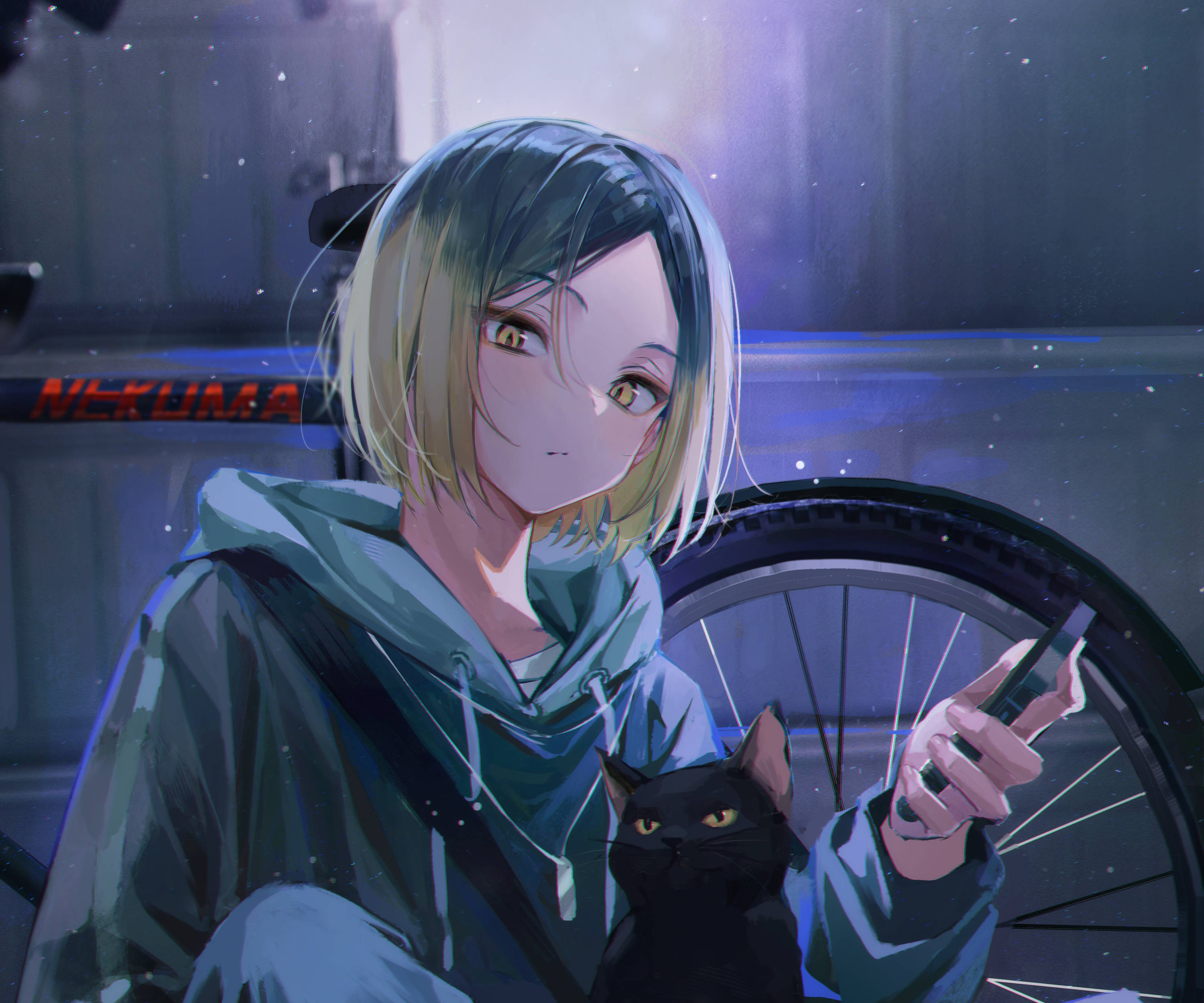 動漫男孩 桌布 壁紙 — 一位年輕的動漫女孩，金色短髮和金色眼睛，在星空下拿著電話，旁邊有一隻黑貓和一輛自行車。