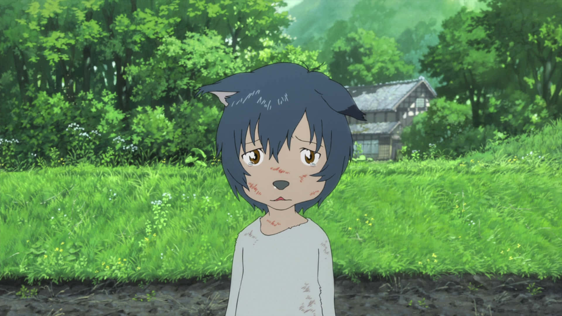 Wolf Children 桌布 壁紙 — 一位年輕的動漫女孩，長著狼耳朵，臉上沾滿泥土，站在一片茂密的綠色田野中，背景是一座木屋。