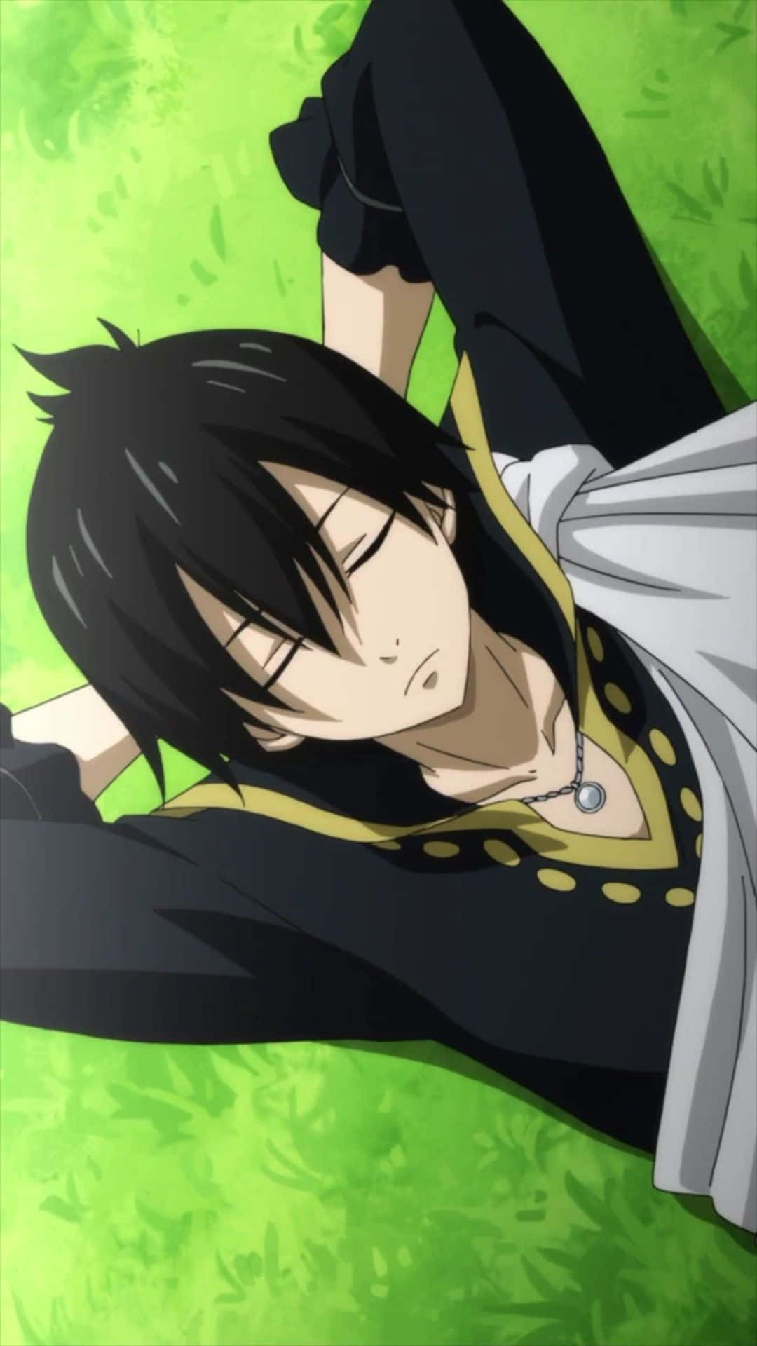 Zeref Dragneel 桌布 壁紙 — 一位年輕的黑髮動漫男性穿著黑色和金色的服裝，放鬆地躺在充滿活力的綠色草地上。