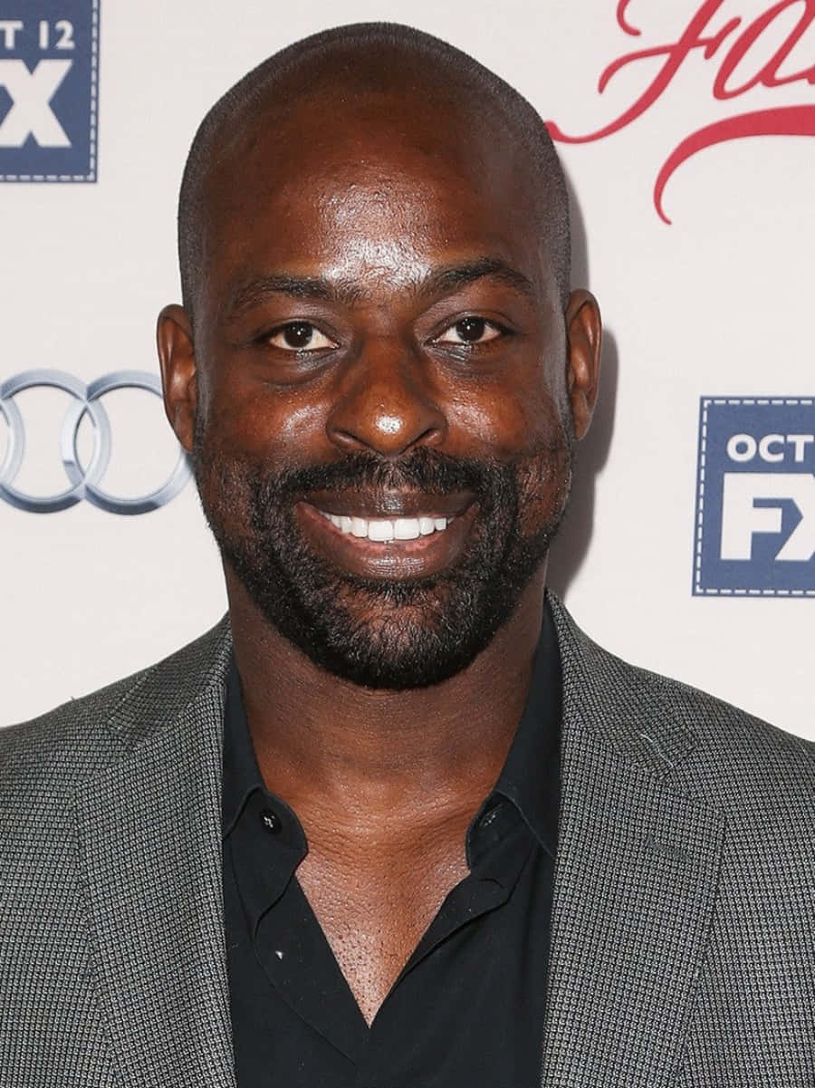 Sterling K Brown 桌布 壁紙 — 一位微笑的光頭黑人男子留著鬍鬚，在紅地毯活動中穿著灰色西裝外套，內搭黑色襯衫。