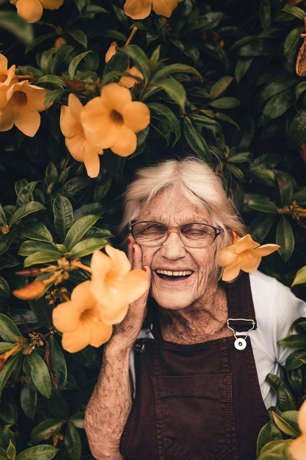 Grandma 桌布 壁紙 — 一位戴眼鏡的老年女士在鮮豔的黃色花朵和茂盛的綠葉環繞下開懷大笑。