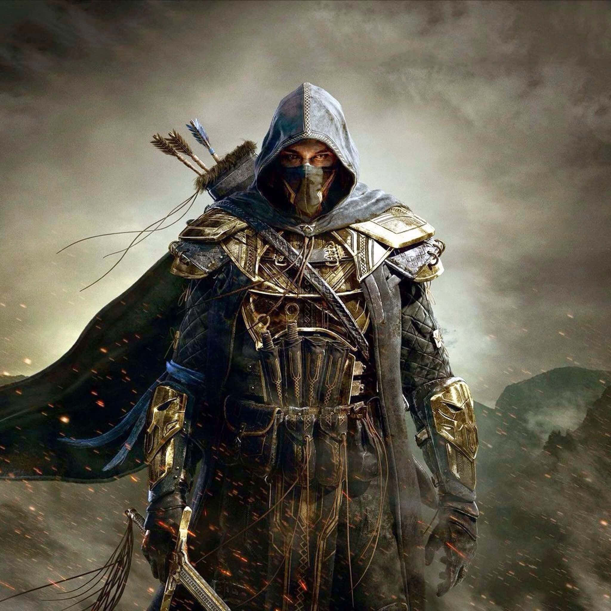 Online Games 桌布 壁紙 — 一位戴著兜帽、身穿華麗盔甲的戰士，在風暴天空下站立，火花四濺。