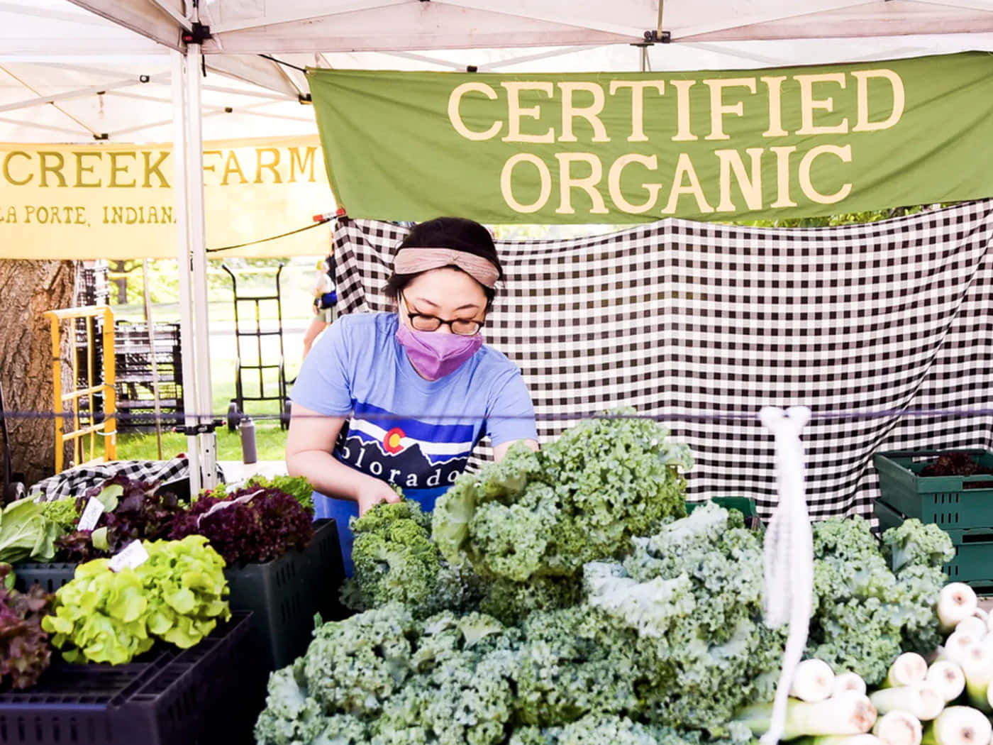 Farmers Market 桌布 壁紙 — 一位戴著口罩和眼鏡的女性在戶外農夫市場攤位上的「有機認證」橫幅下擺放新鮮的羽衣甘藍和生菜。