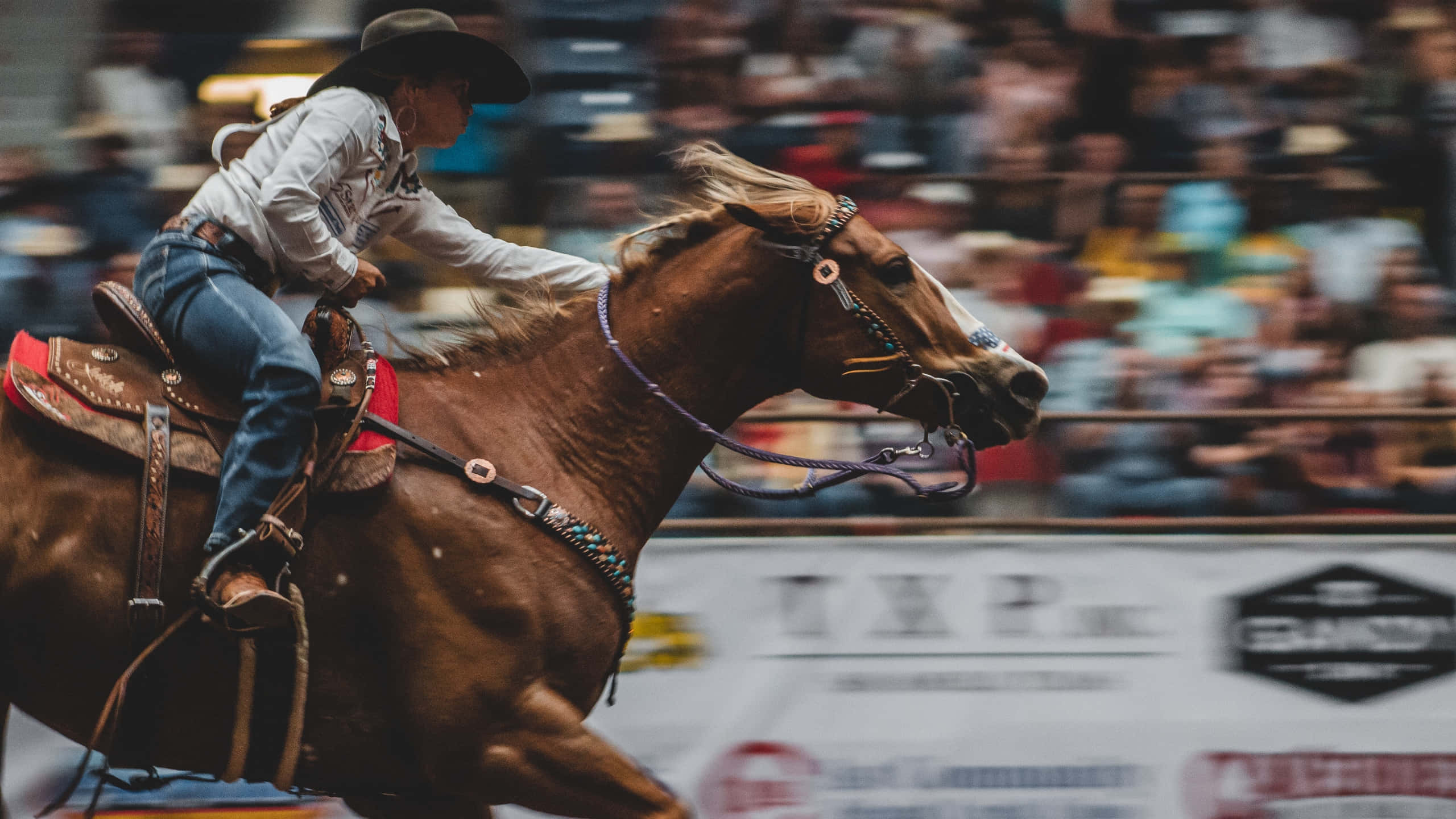 Rodeo 桌布 壁紙 — 一位戴著寬邊帽的牛仔在室內牛仔競技活動中騎著一匹強壯的棕色馬全速奔馳。