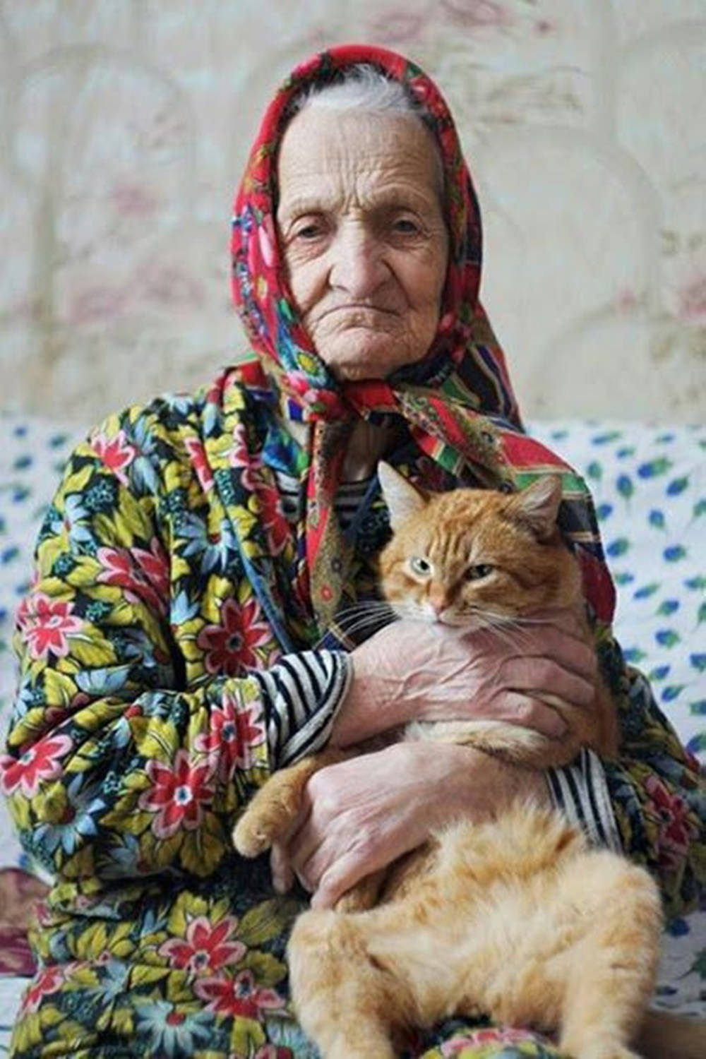 Grandma 桌布 壁紙 — 一位戴著彩色頭巾的老年女士在花紋沙發上溫柔地抱著一隻薑貓。