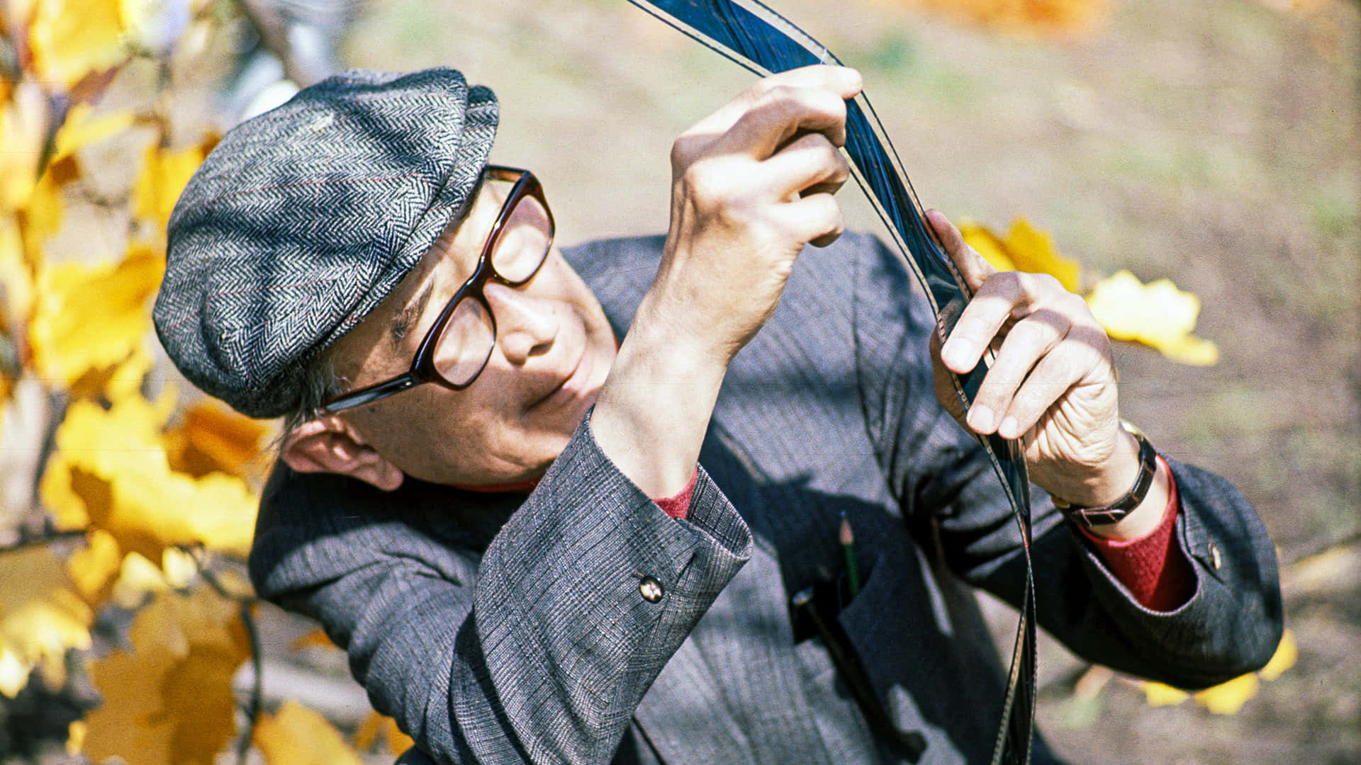 Akira Kurosawa 桌布 壁紙 — 一位戴著粗花呢帽和眼鏡的長者，在鮮黃色秋葉的背景下檢查一條藍色絲帶。