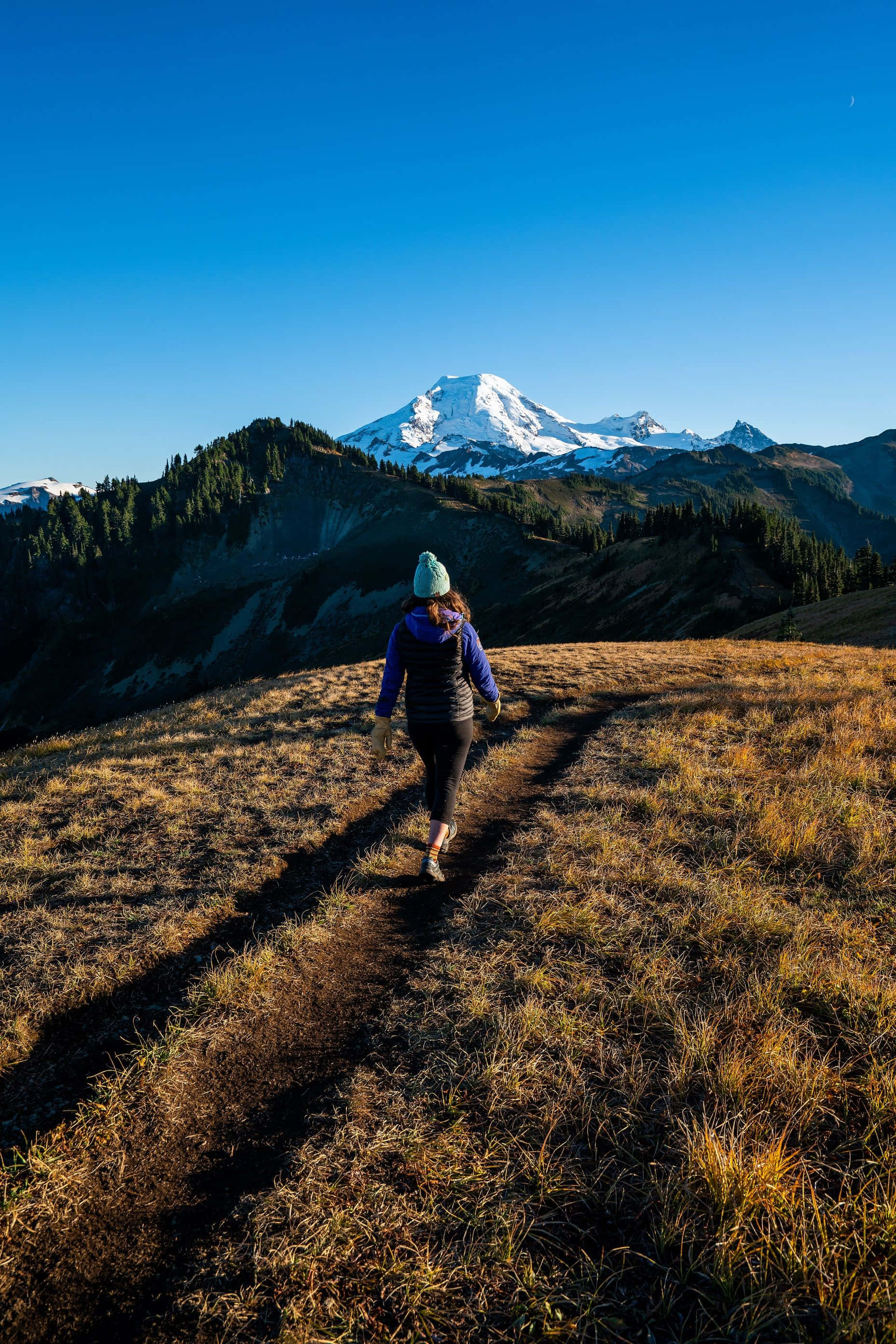 Fall Hikes 桌布 壁紙 — 一位戴著綠色冷帽的遠足者，在晴朗藍天下獨自走在陽光照耀的草地上，朝雄偉的雪山前進。