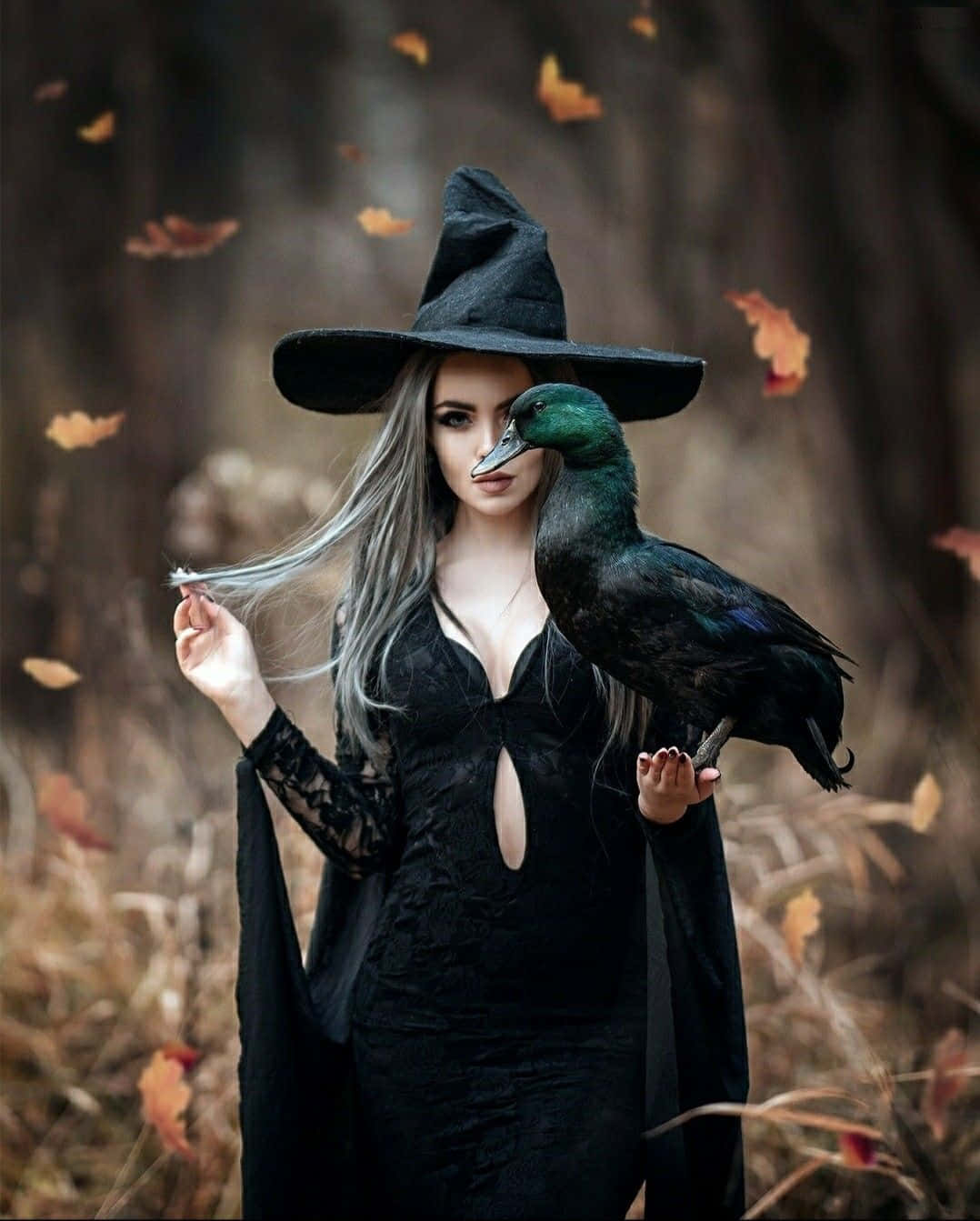 Witch Costumes 桌布 壁紙 — 一位戴著黑色帽子和長袍的女巫站在森林中，秋葉在她周圍旋轉，一隻鴨子棲息在她手上。