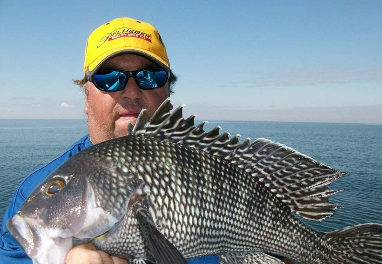 Black Sea Bass 桌布 壁紙 — 一位戴黃色帽子和穿藍色襯衫的漁夫，在晴朗天空下平靜的海洋背景中，自豪地舉著一條有斑點的大魚。