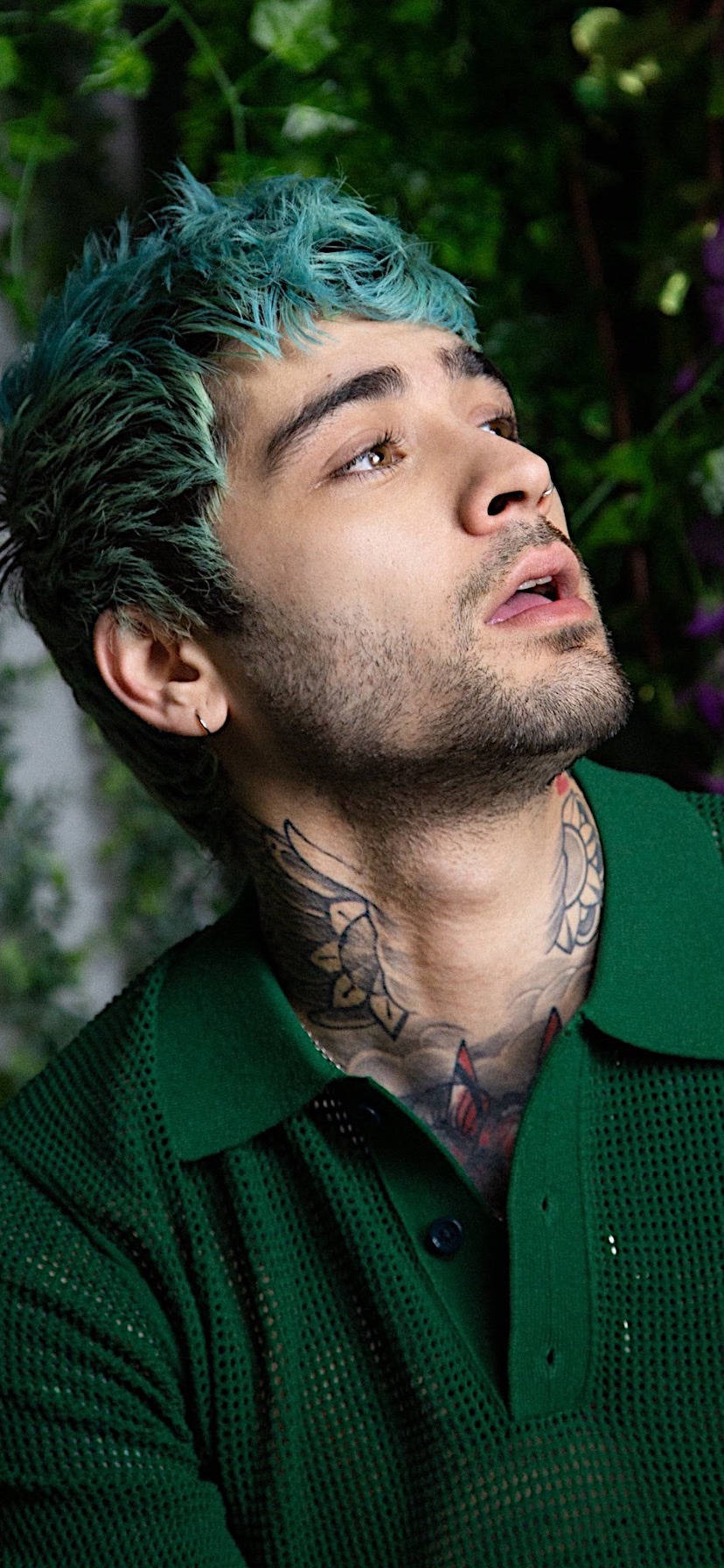 Zayn Malik 桌布 壁紙 — 一位擁有充滿活力的藍綠色頭髮和頸部紋身的年輕男子，在茂密的綠色樹葉背景下向上凝視。