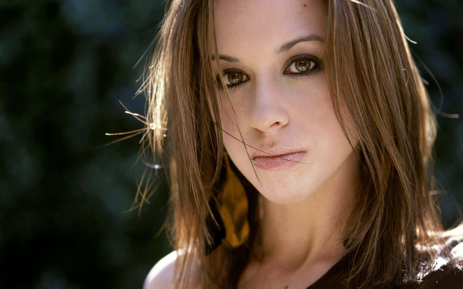 lacey chabert 桌布 壁紙 — 一位擁有棕色頭髮和溫暖眼睛的女性，在模糊的綠色背景下直視鏡頭。