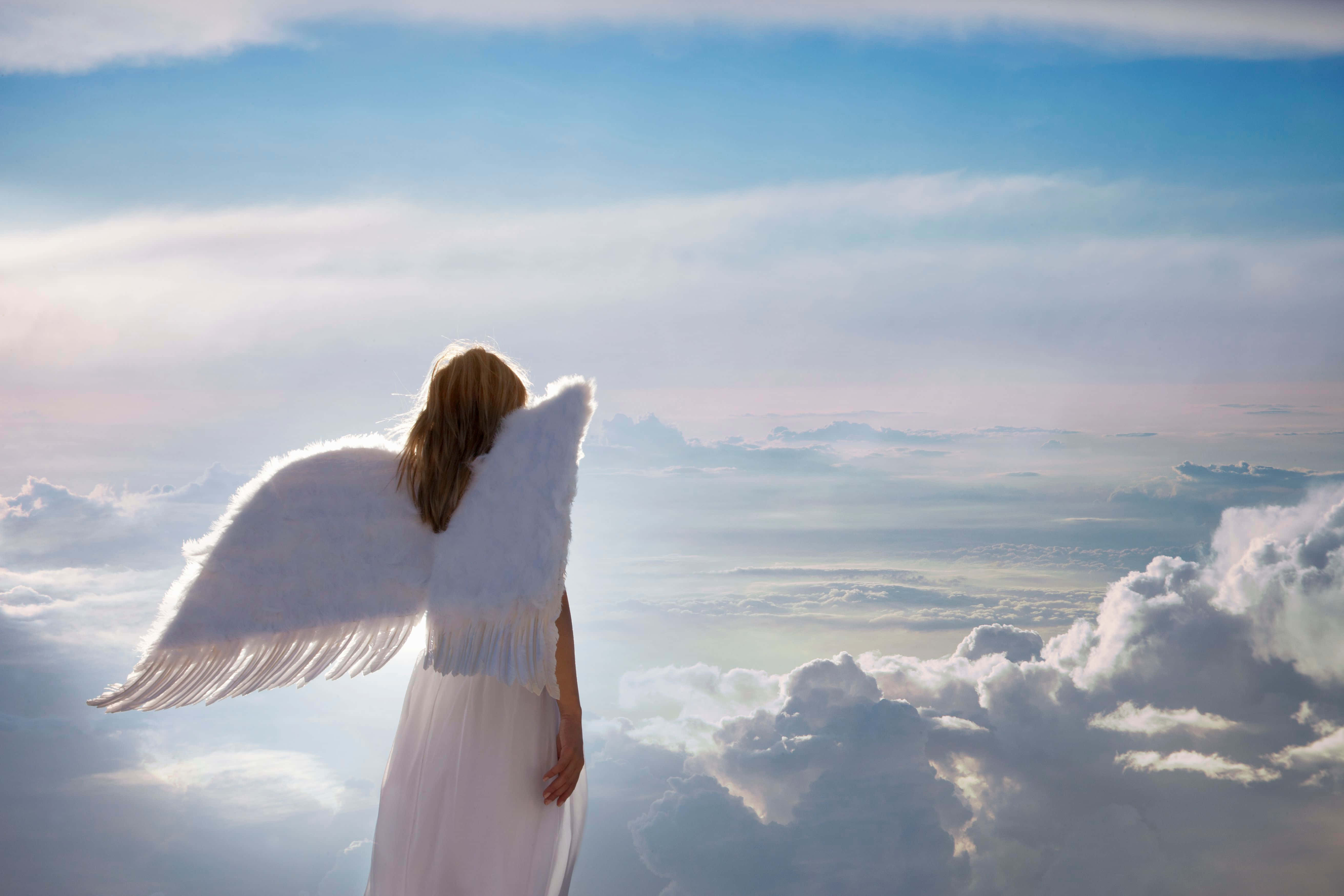 angels 桌布 壁紙 — 一位擁有白色翅膀的寧靜天使站在雲端上，凝視著沐浴在柔和晨光中的廣闊天空。