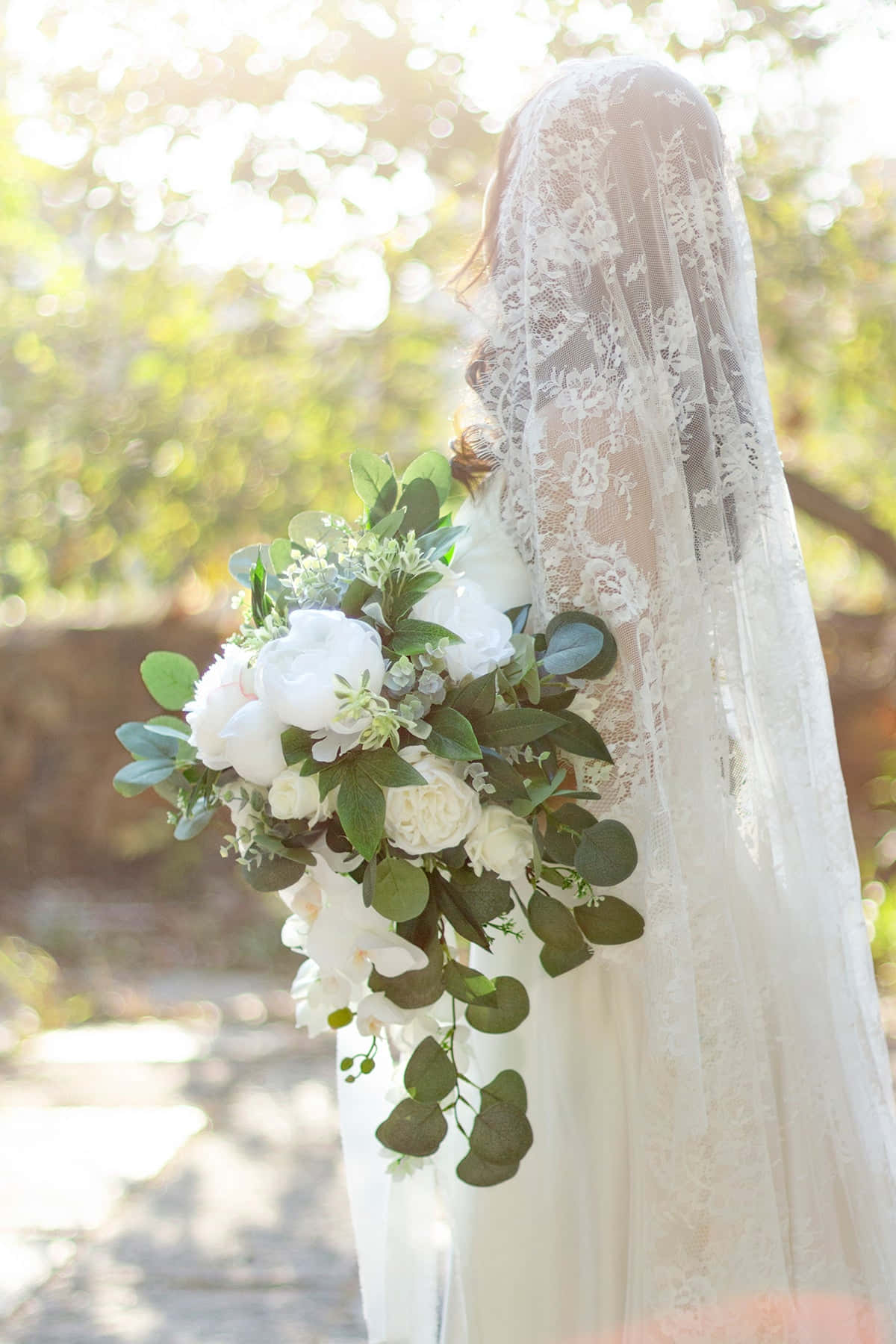 Wedding Bouquet 桌布 壁紙 — 一位新娘戴著蕾絲頭紗，在陽光照耀的樹木前，手持一束豐滿的白色花束，搭配綠葉。