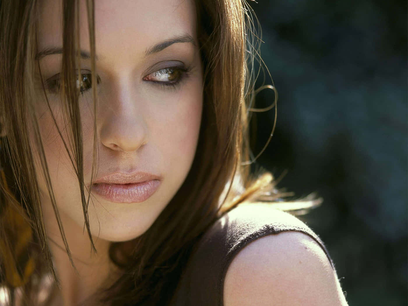 lacey chabert 桌布 壁紙 — 一位棕色頭髮、眼神柔和的女子的特寫肖像，陽光突出髮絲，背景是模糊的自然景色。