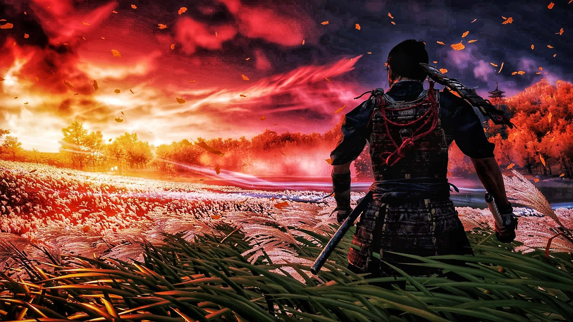 對馬戰鬼 桌布 壁紙 — 一位武士戰士站在夕陽下高草叢生的田野中，面對著火紅的天空，落葉飄零，遠樹依稀。