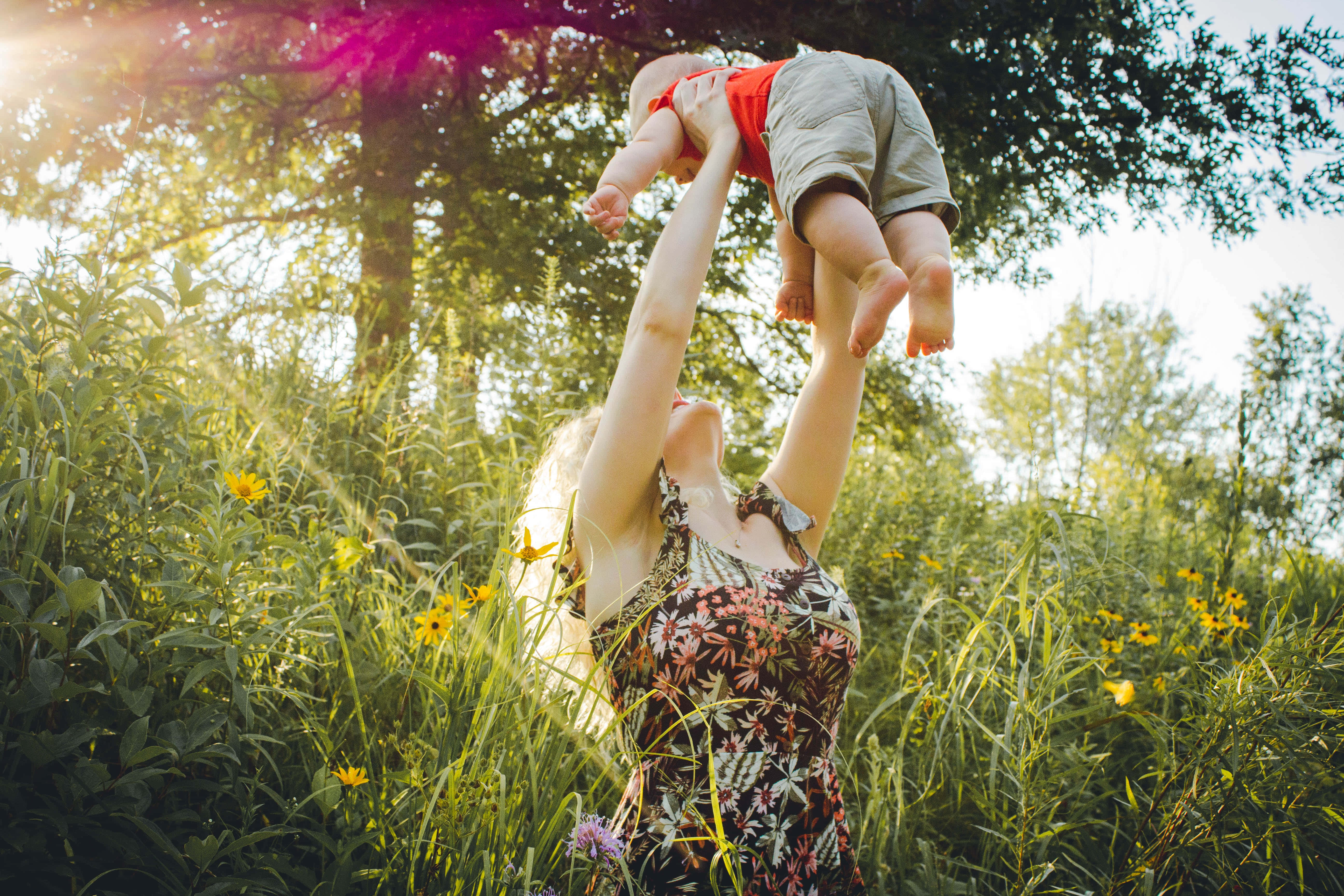 Mom 桌布 壁紙 — 一位母親在陽光明媚、開滿野花和長滿高草的草地上，高興地將她的寶寶高高舉起。